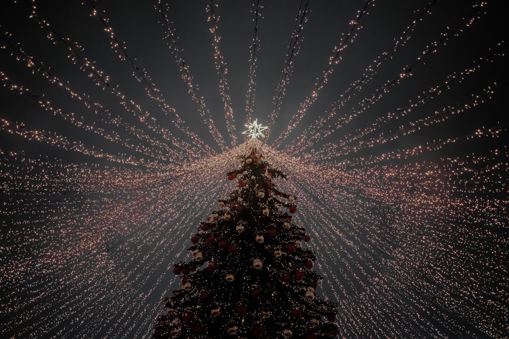 a large christmas tree is lit up with lights