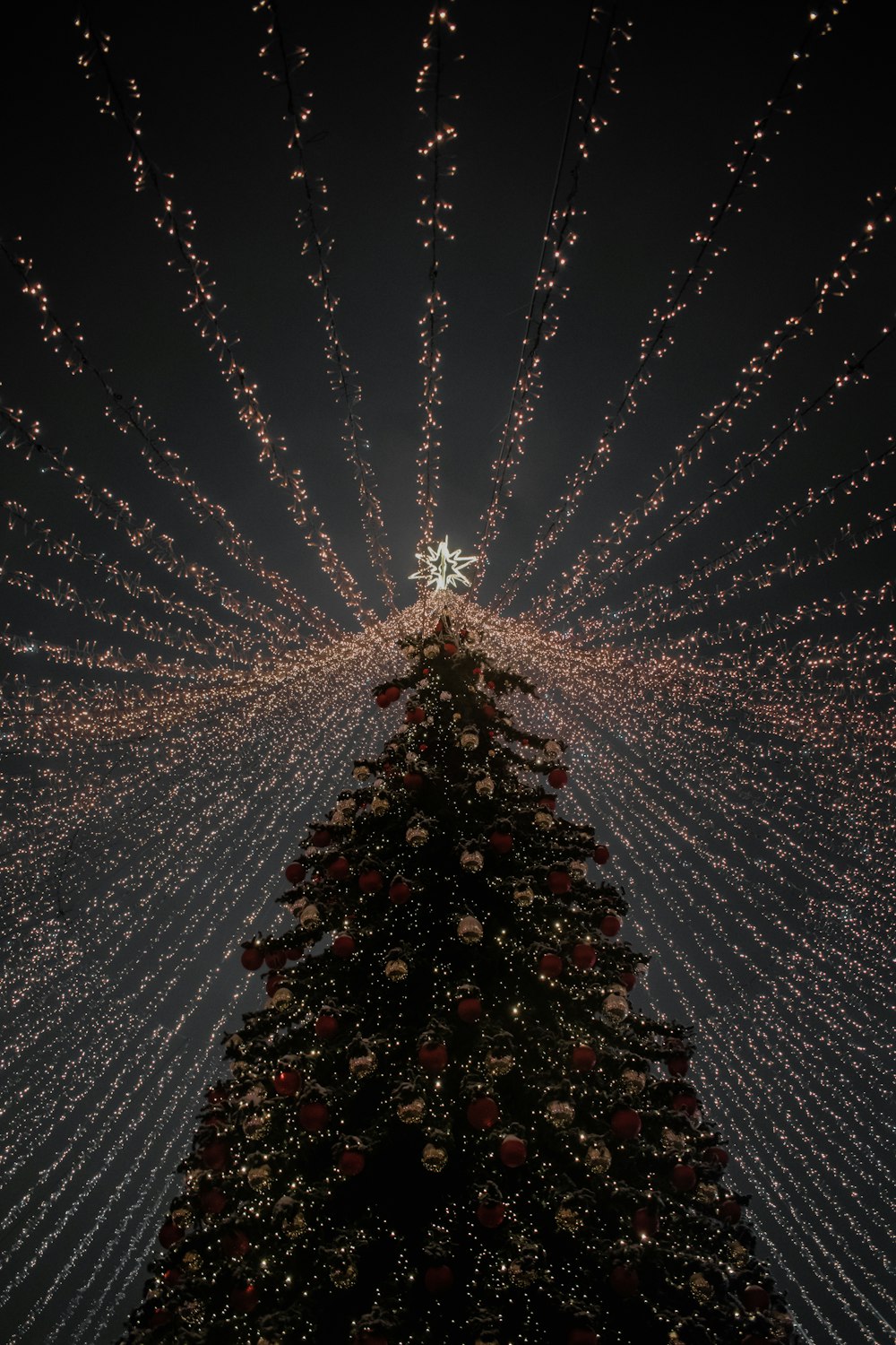 Un gran árbol de Navidad con muchas luces