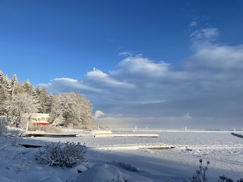 a snowy landscape with trees and a house in the distance