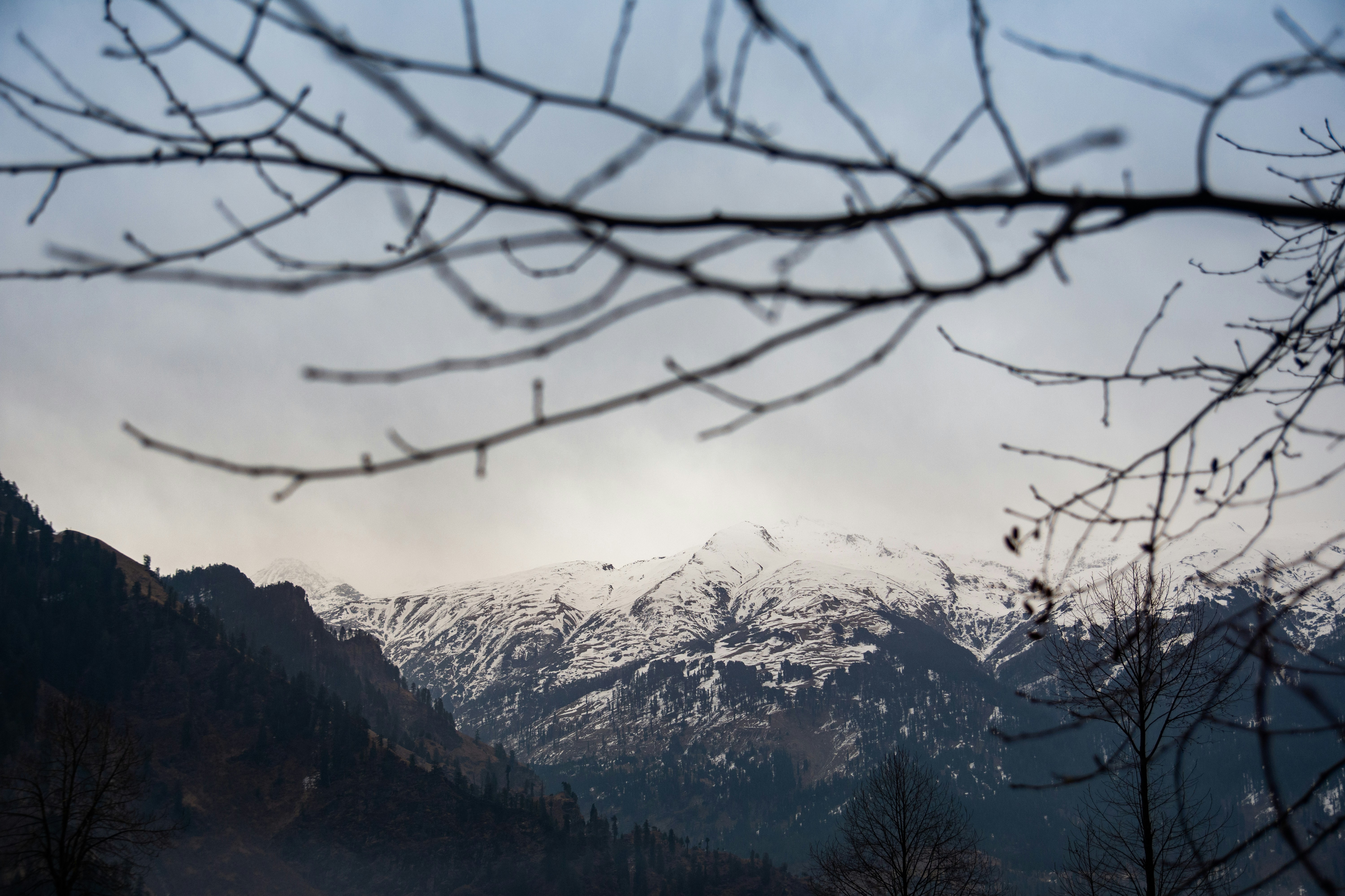a view of a snowy mountain range from a distance