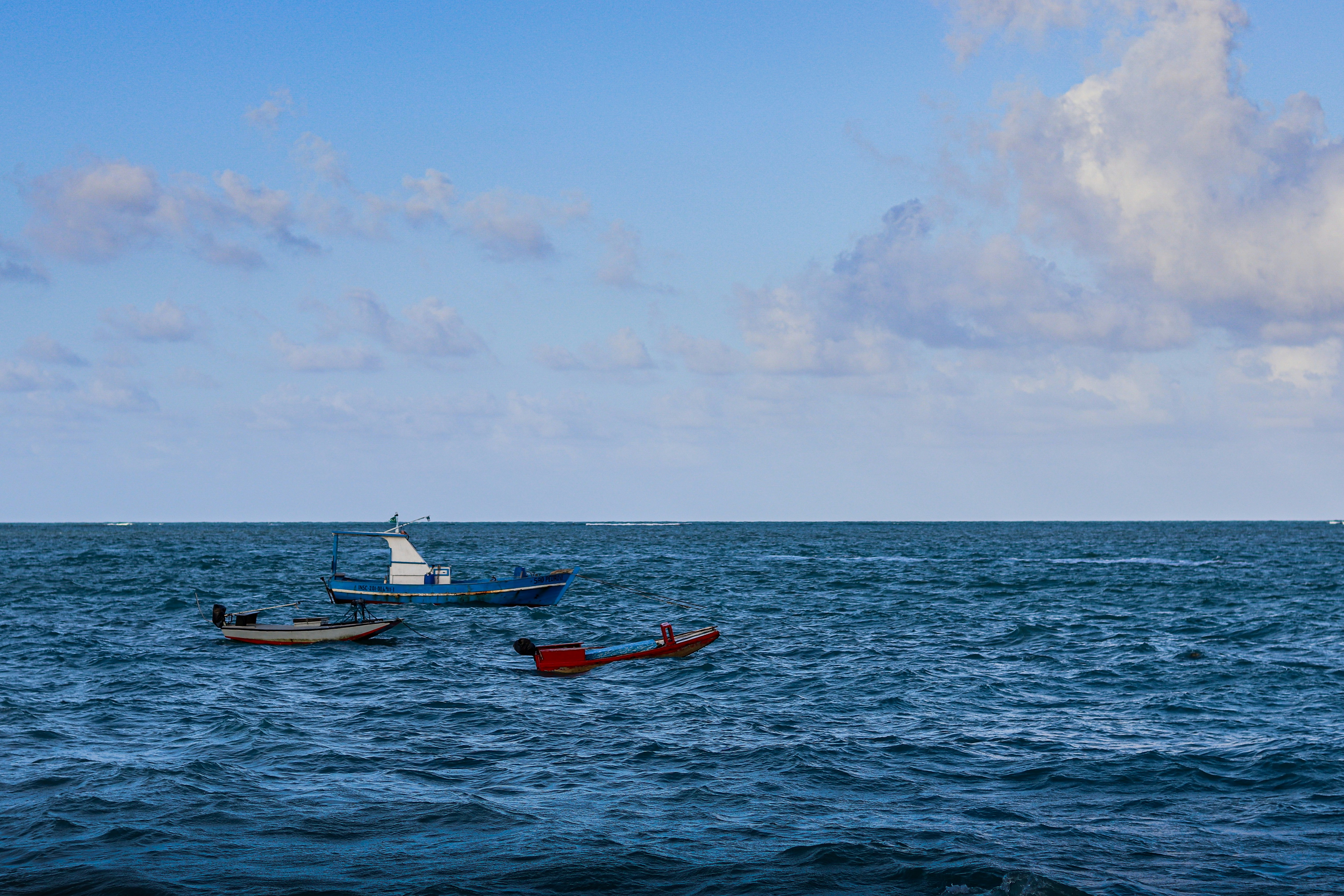 Photo by thiagojapyassu