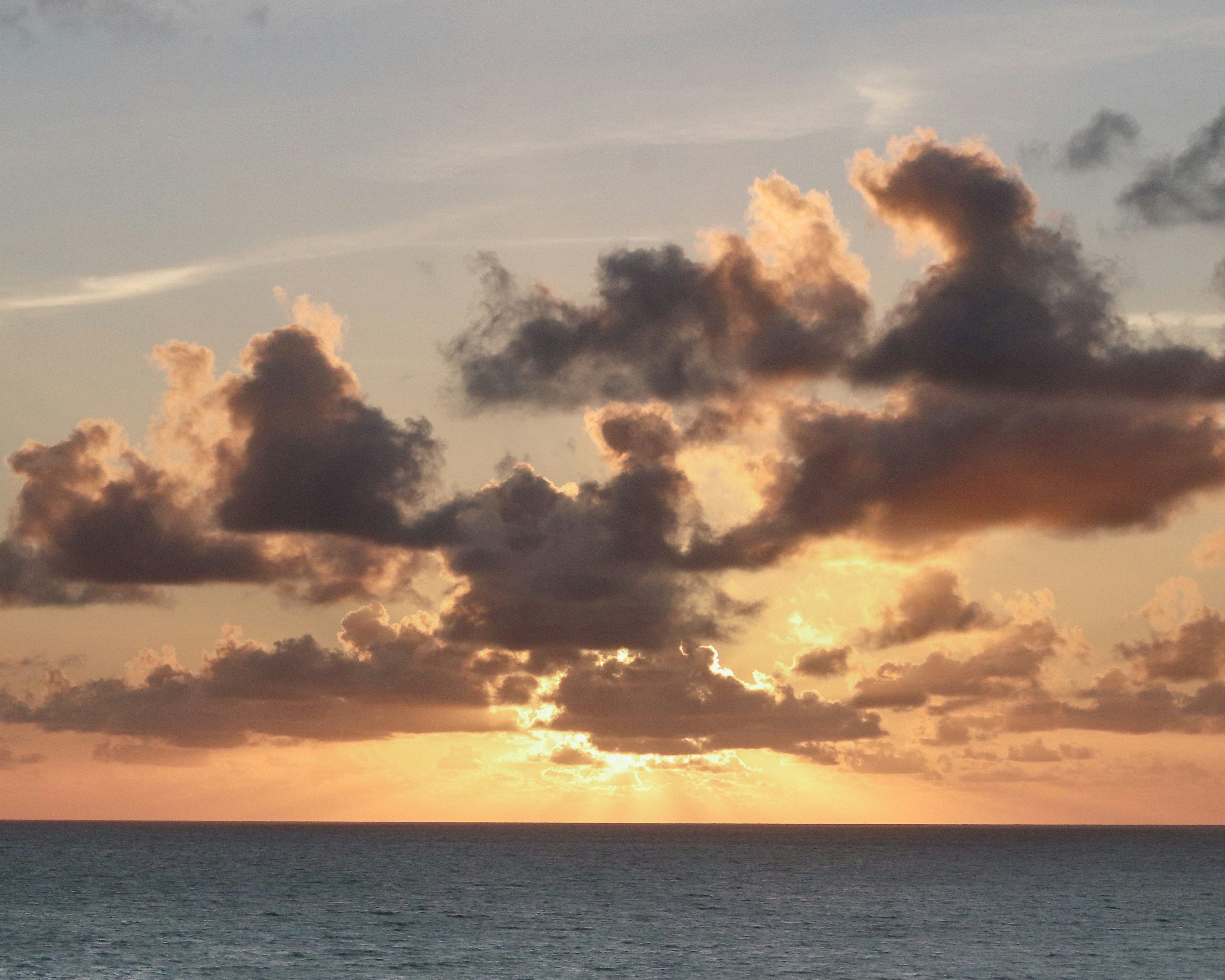 Photo by thiagojapyassu