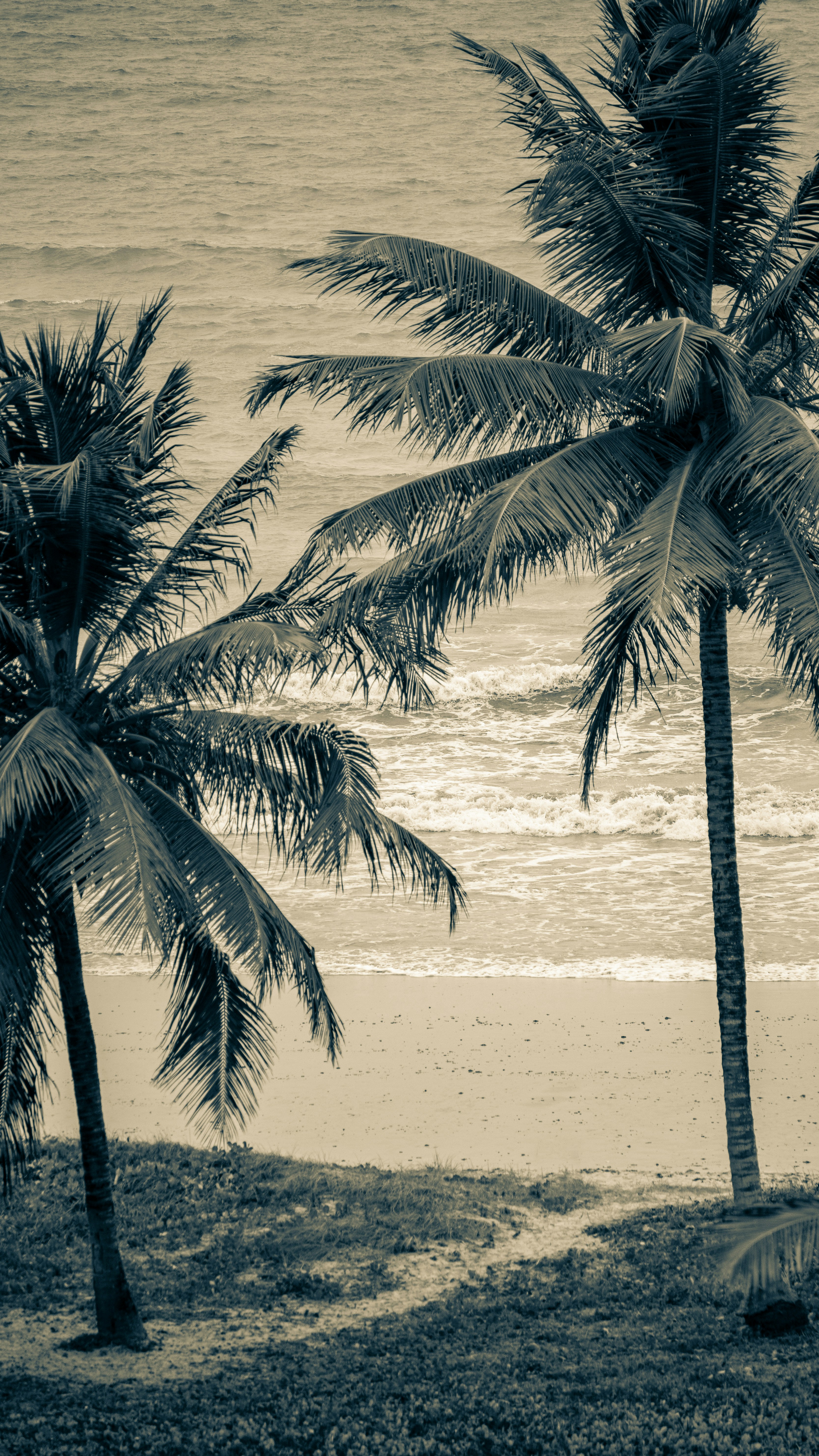 Photo by thiagojapyassu