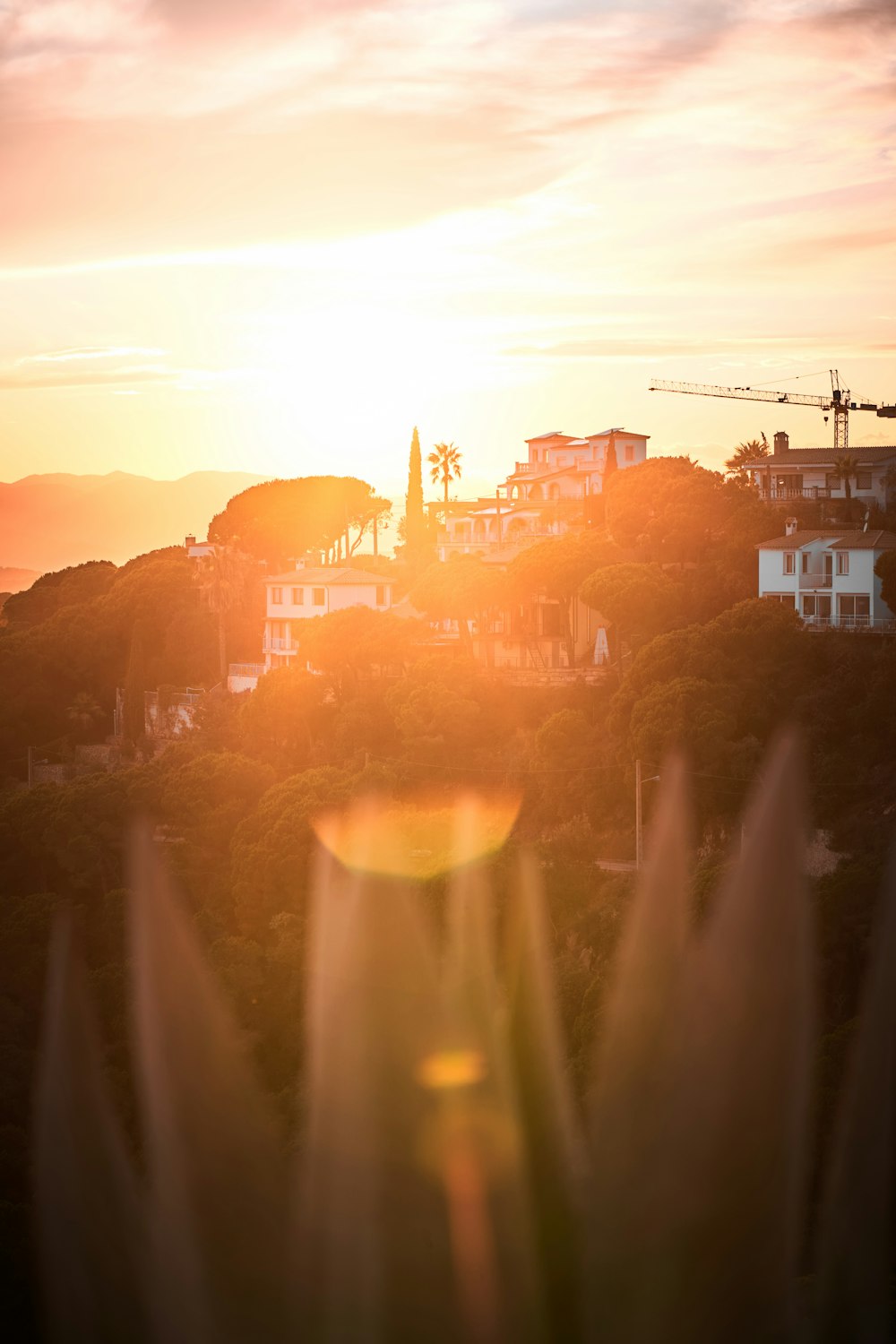 the sun is setting over a city with houses