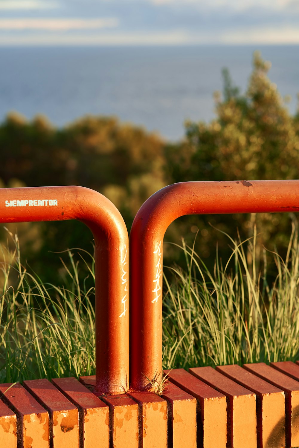 a close up of a red metal fence near a body of water