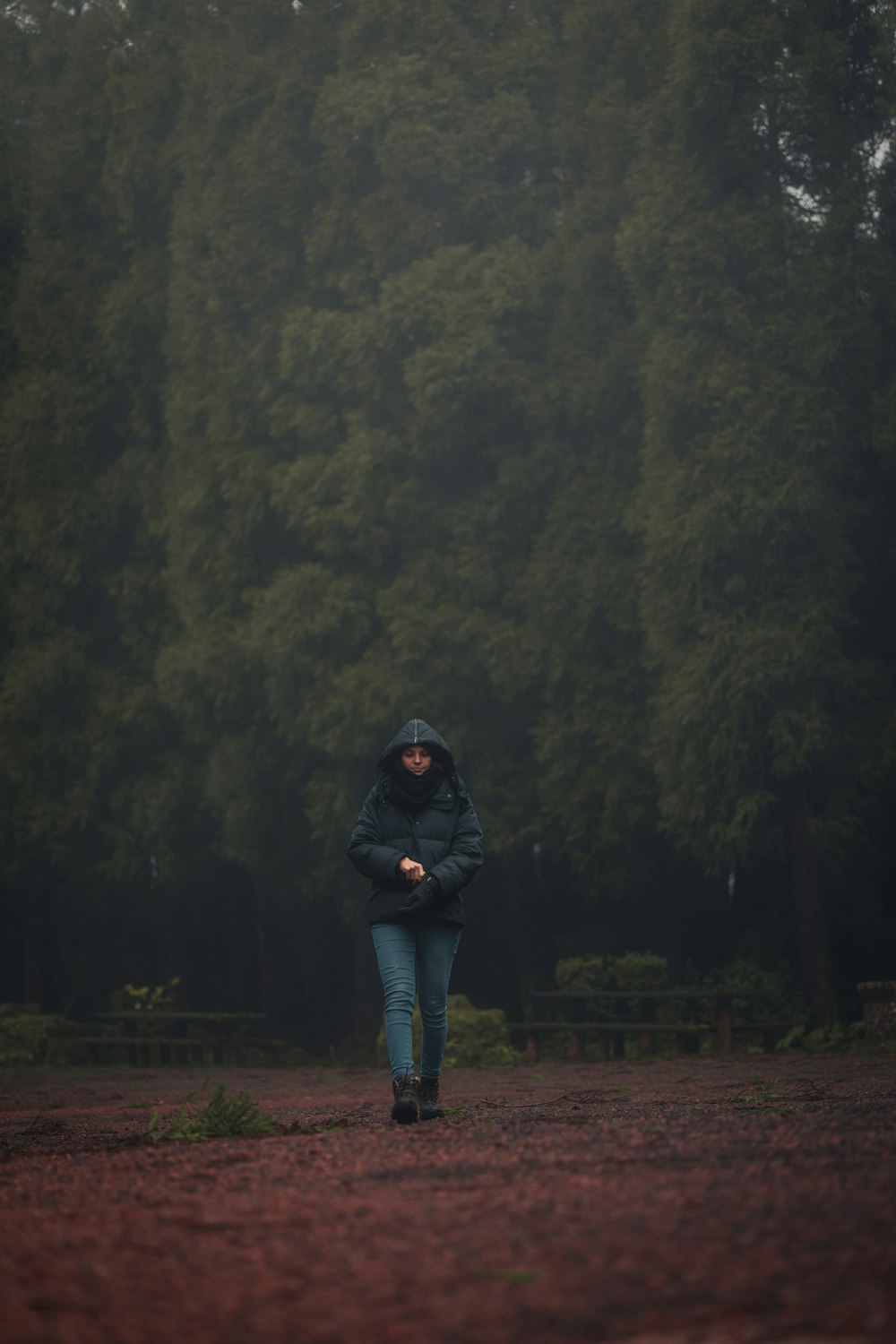 a person walking down a dirt road in front of a forest