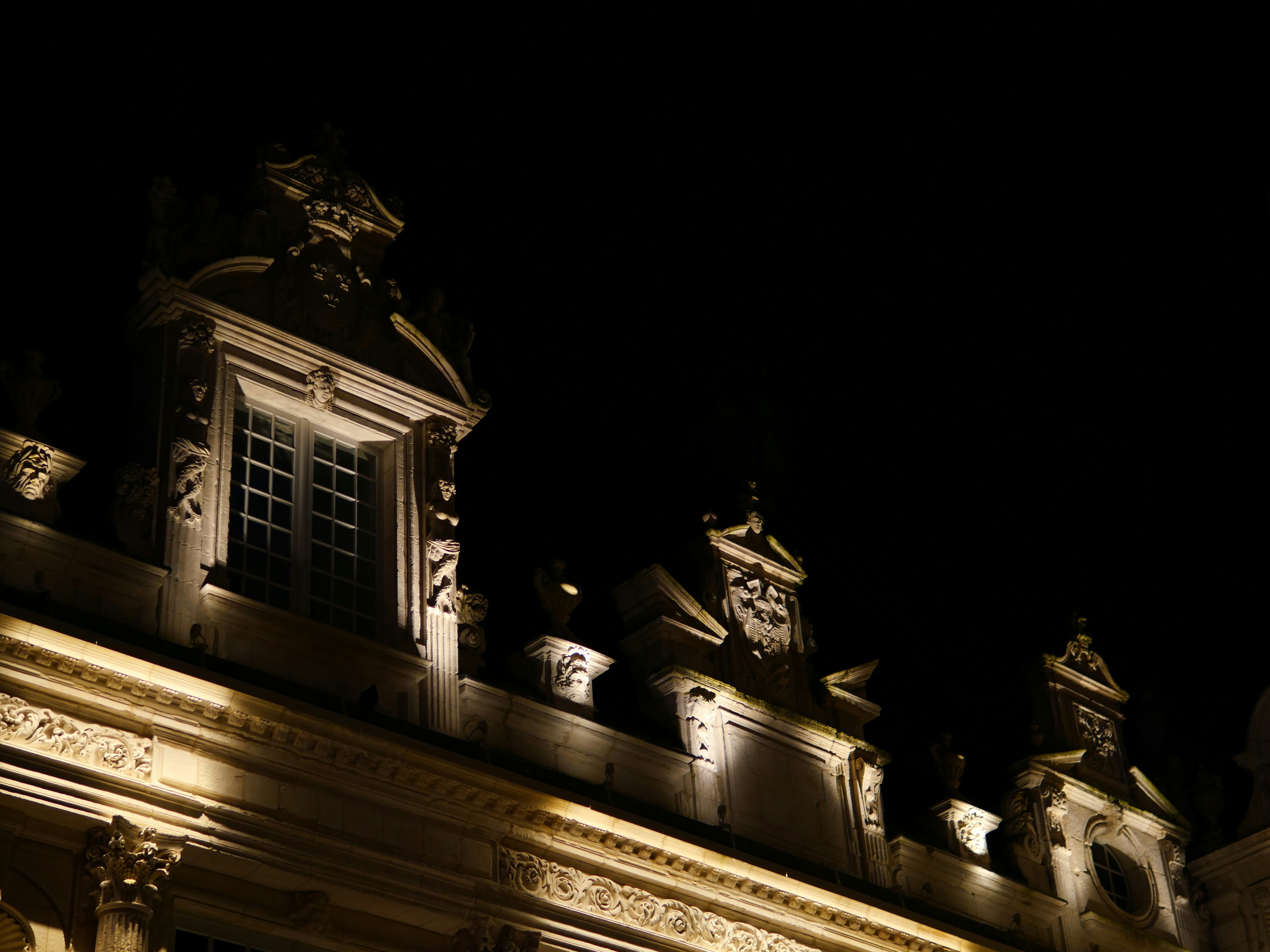 Photo by nimbus_vulpis