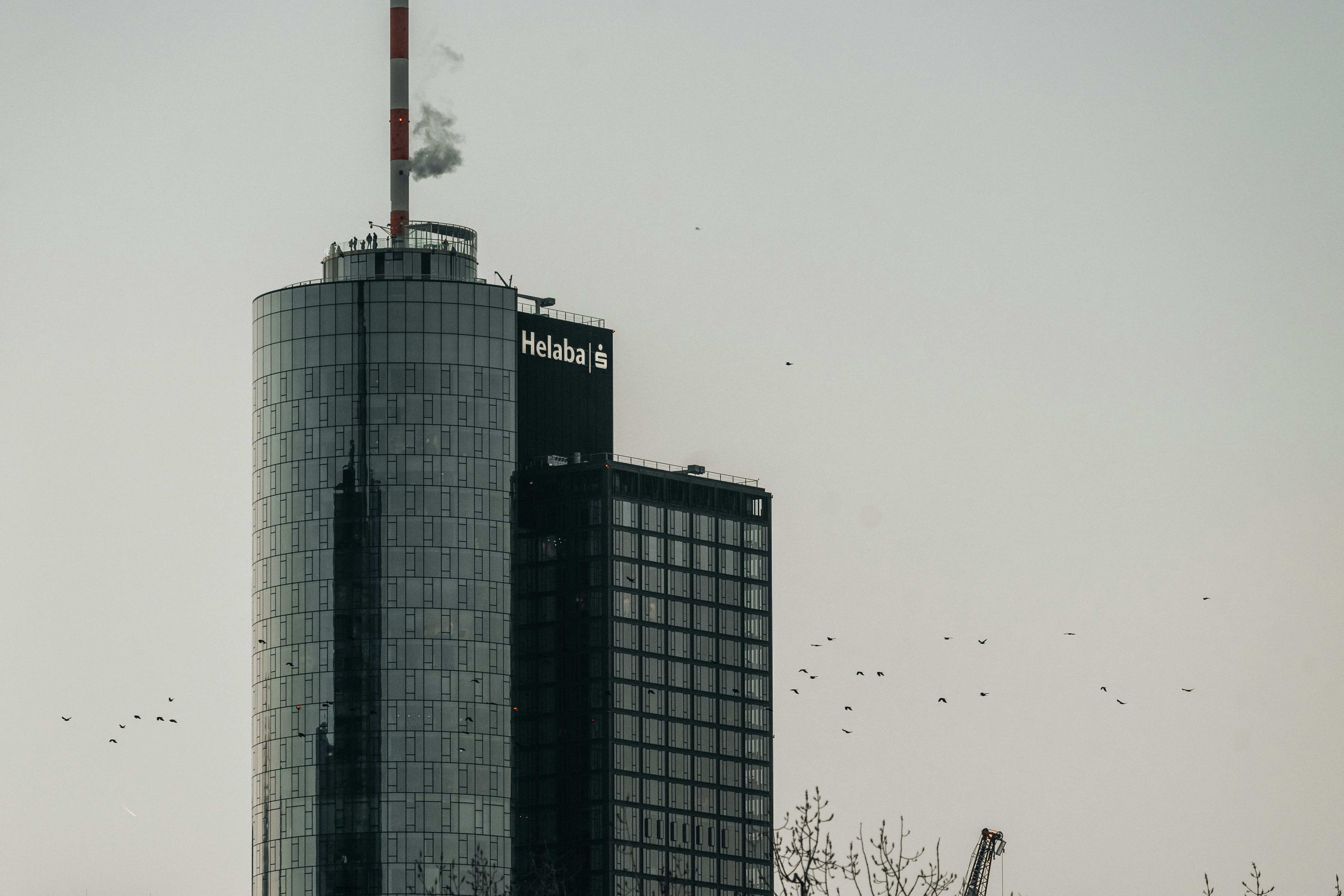 Photo by masoodaslami