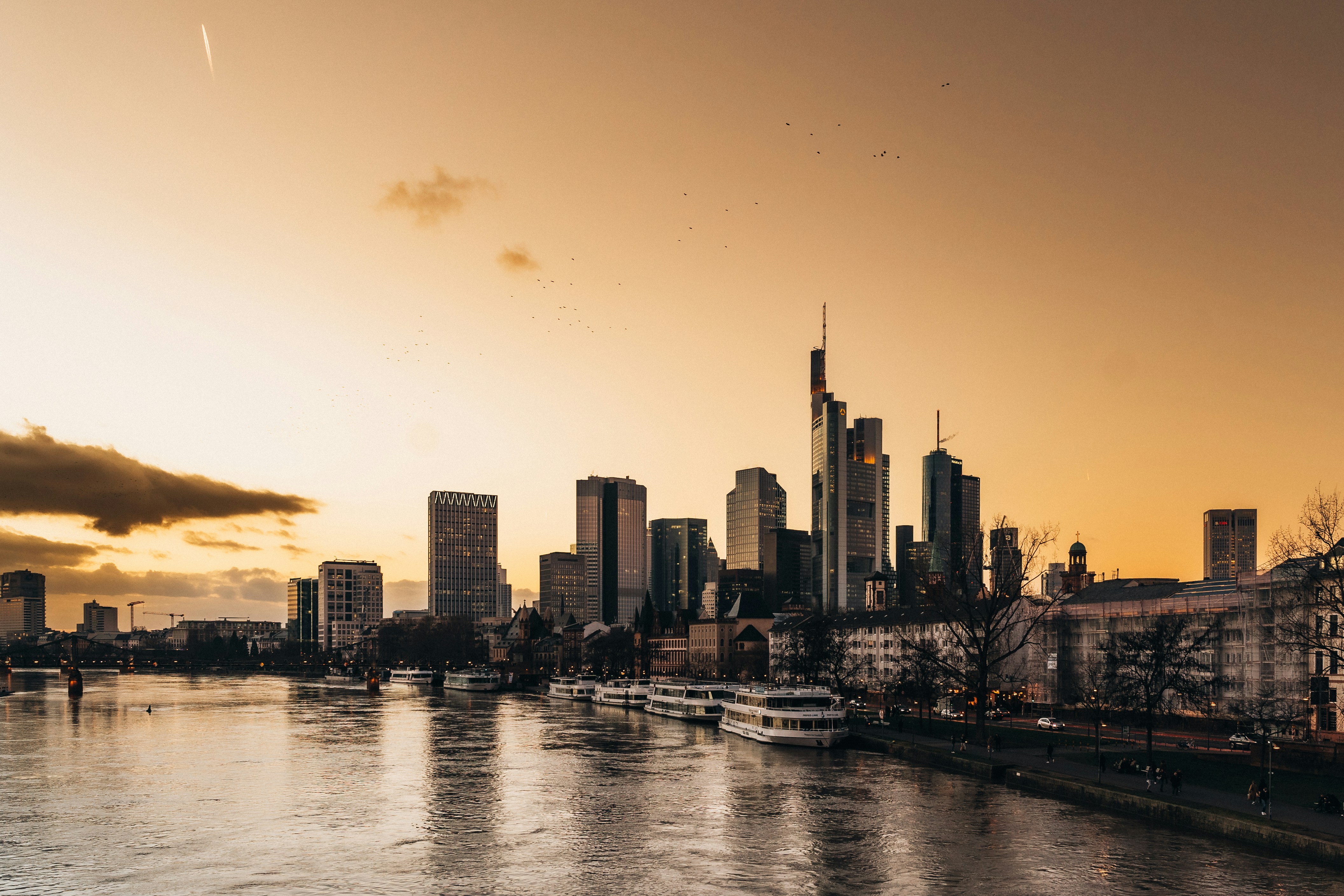 Photo by masoodaslami