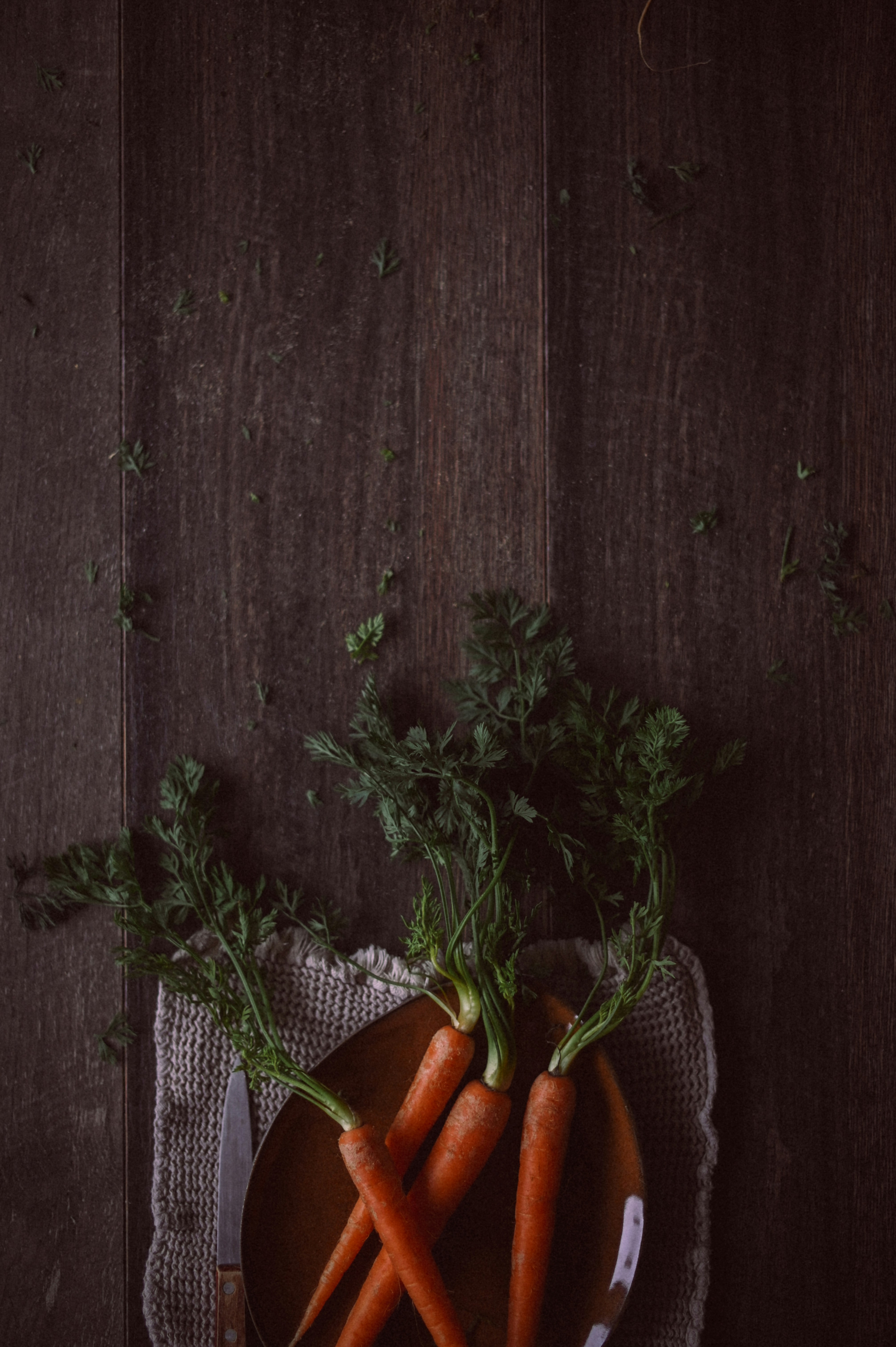 Photo by gaellemarcel