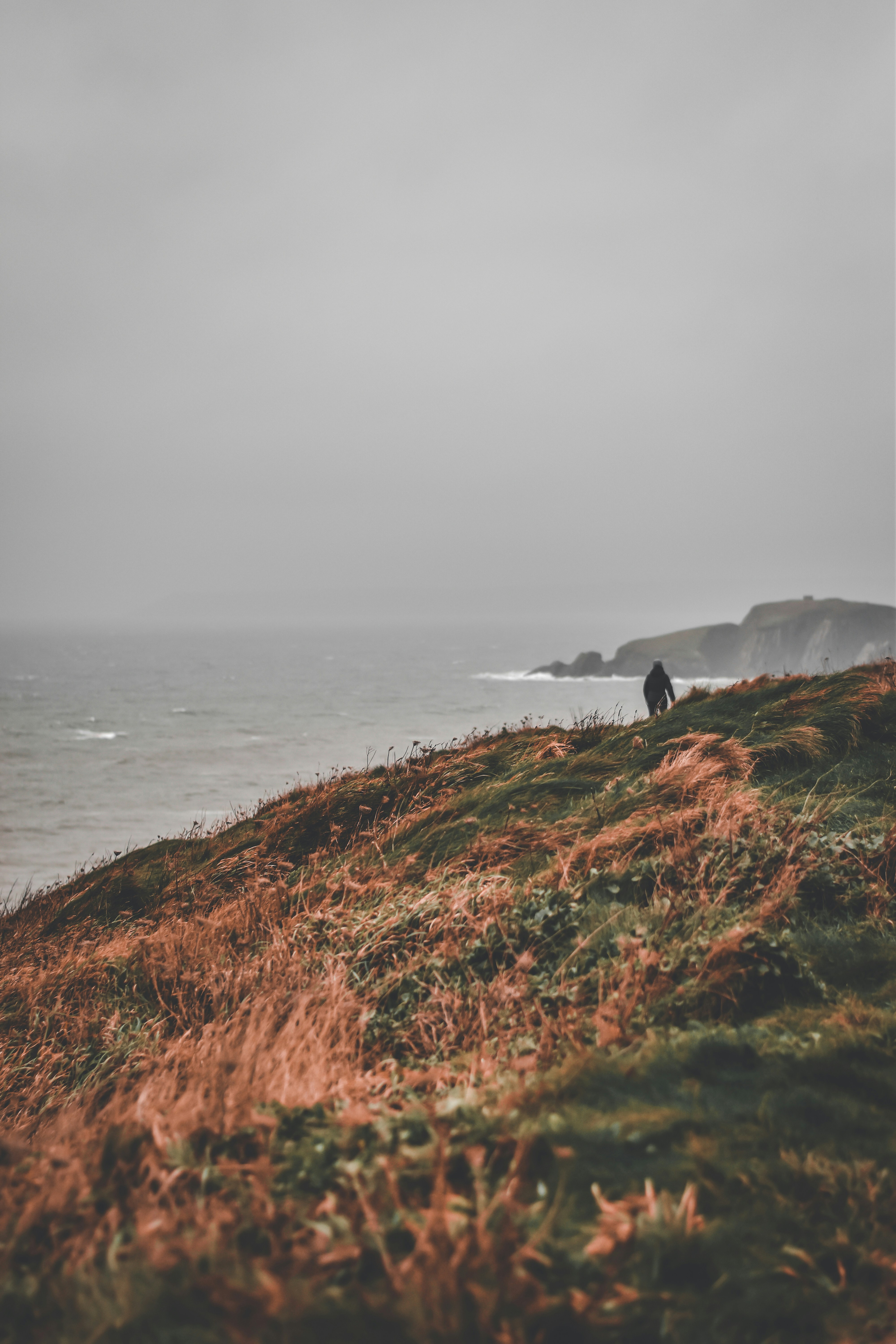 Photo by elliottmason