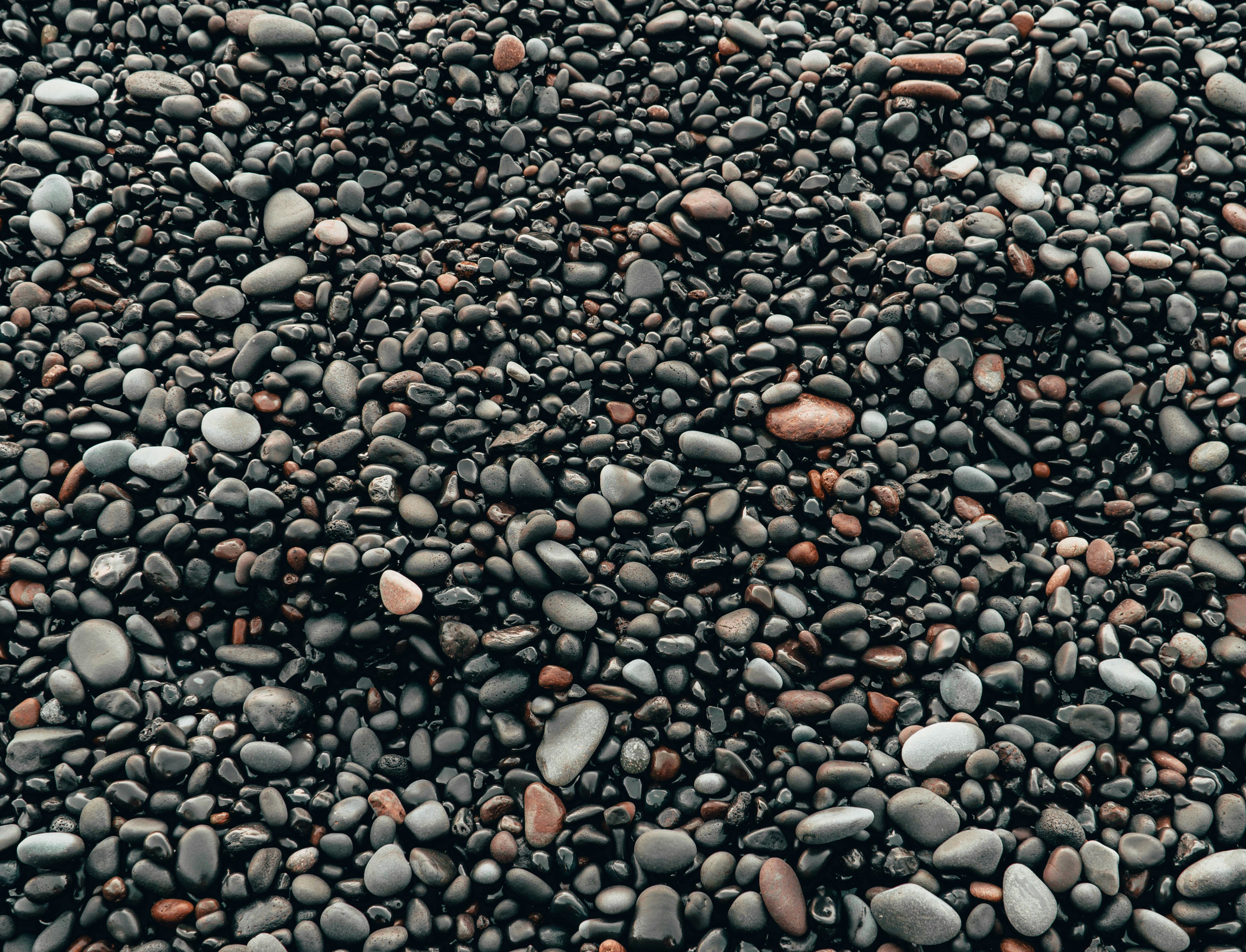 Photo by fantomedelamusique