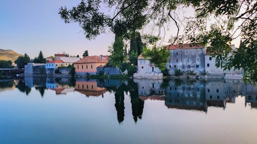 a body of water surrounded by trees and buildings