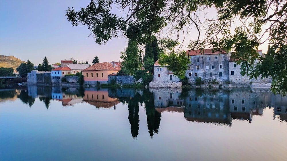 a body of water surrounded by trees and buildings