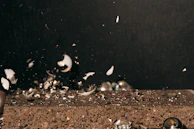 Broken dishes flying in slow motion as a participant releases frustration safely in the pykčio kambarys.