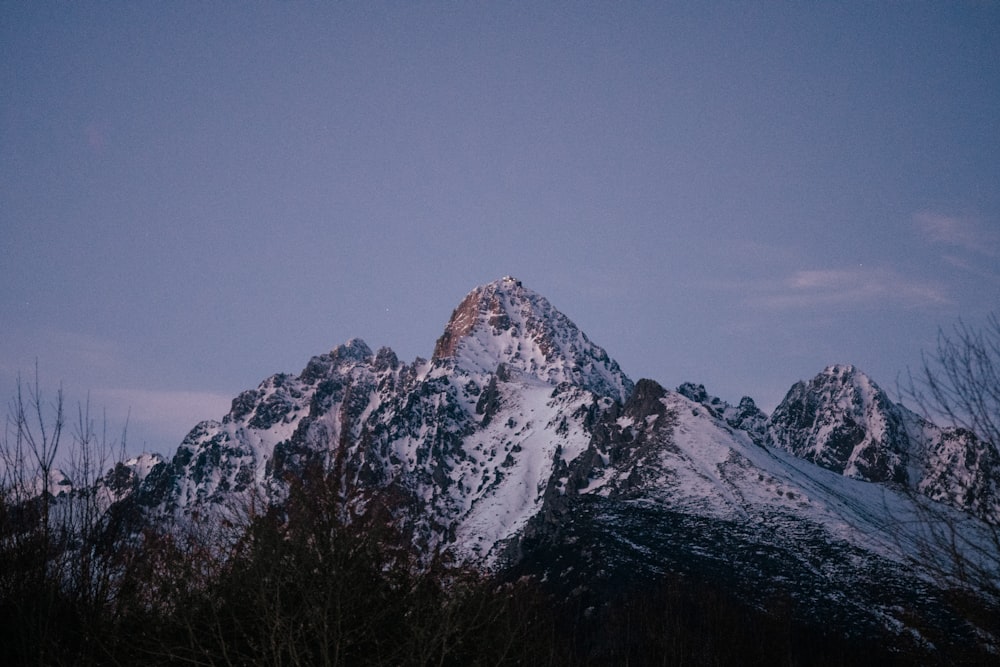 a snow covered mountain with trees in the foreground