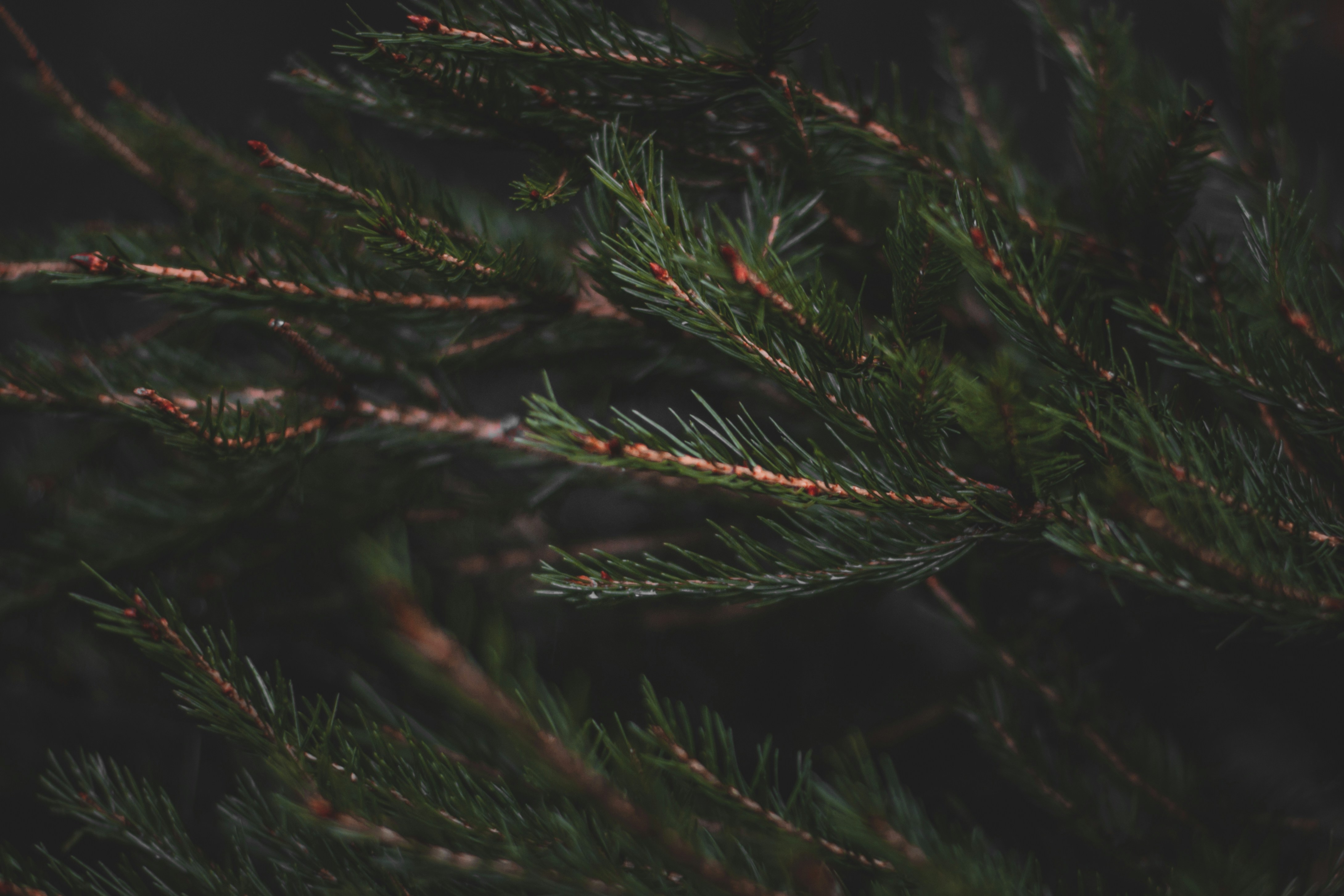 Photo by elliottmason