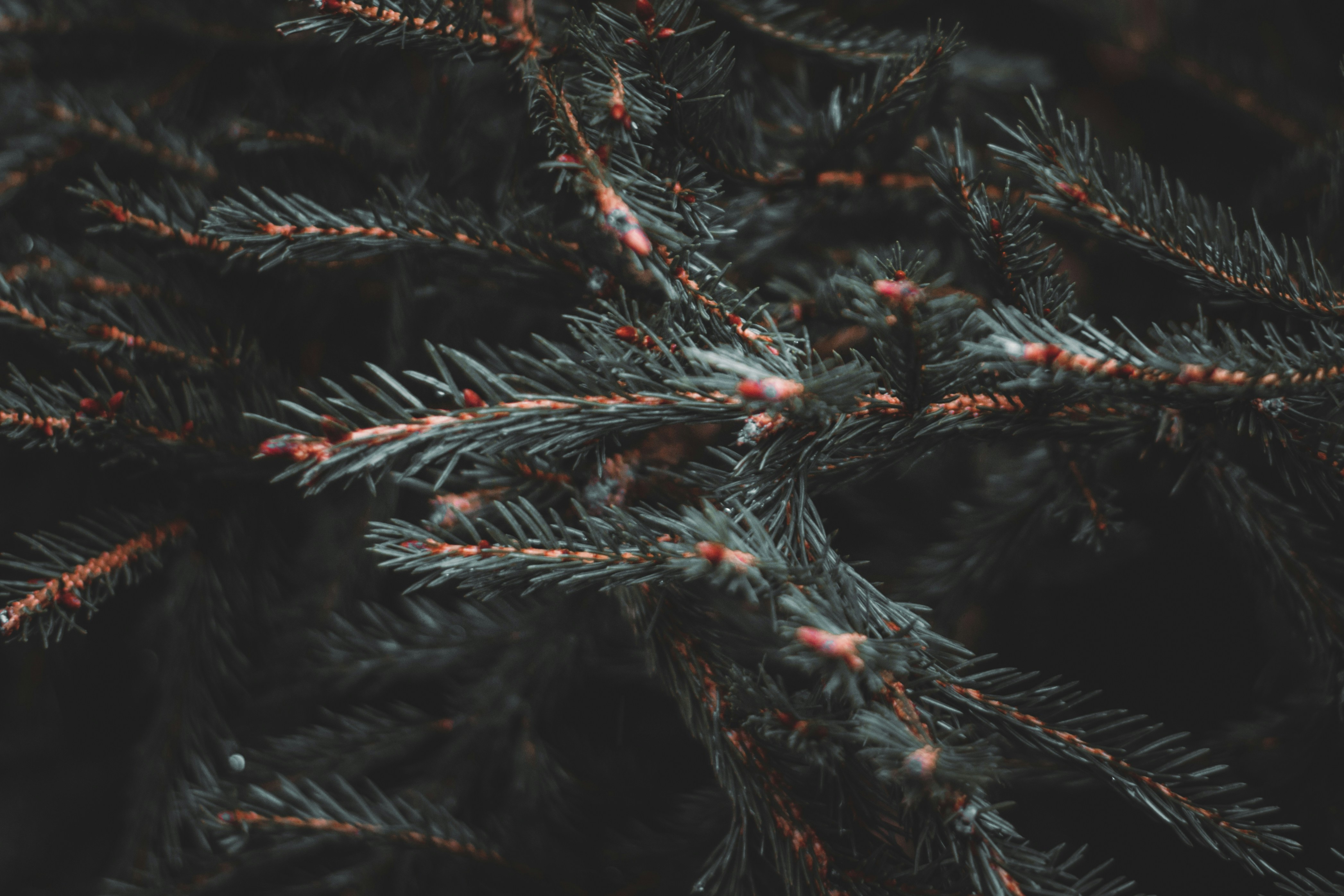 Photo by elliottmason