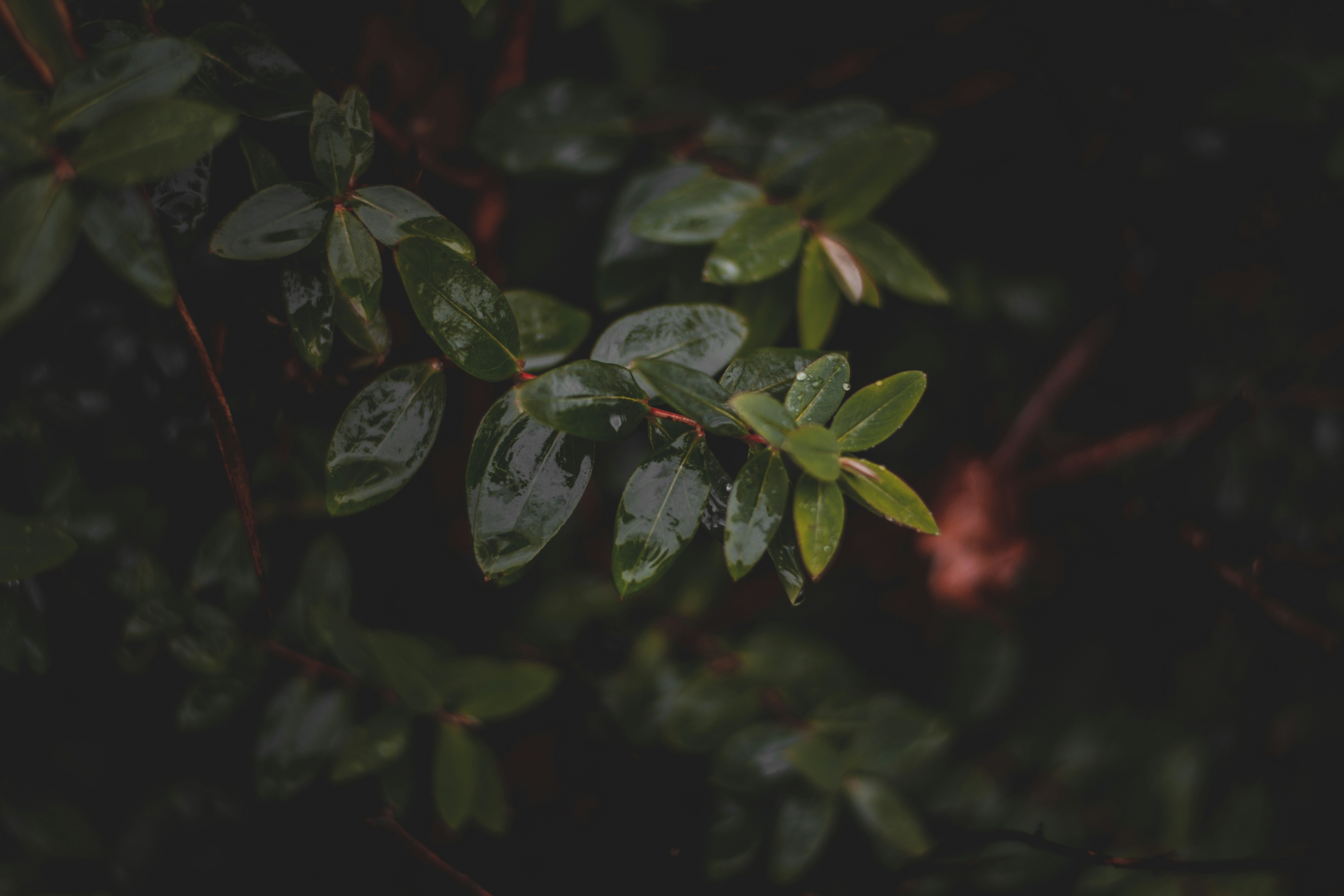 Photo by elliottmason