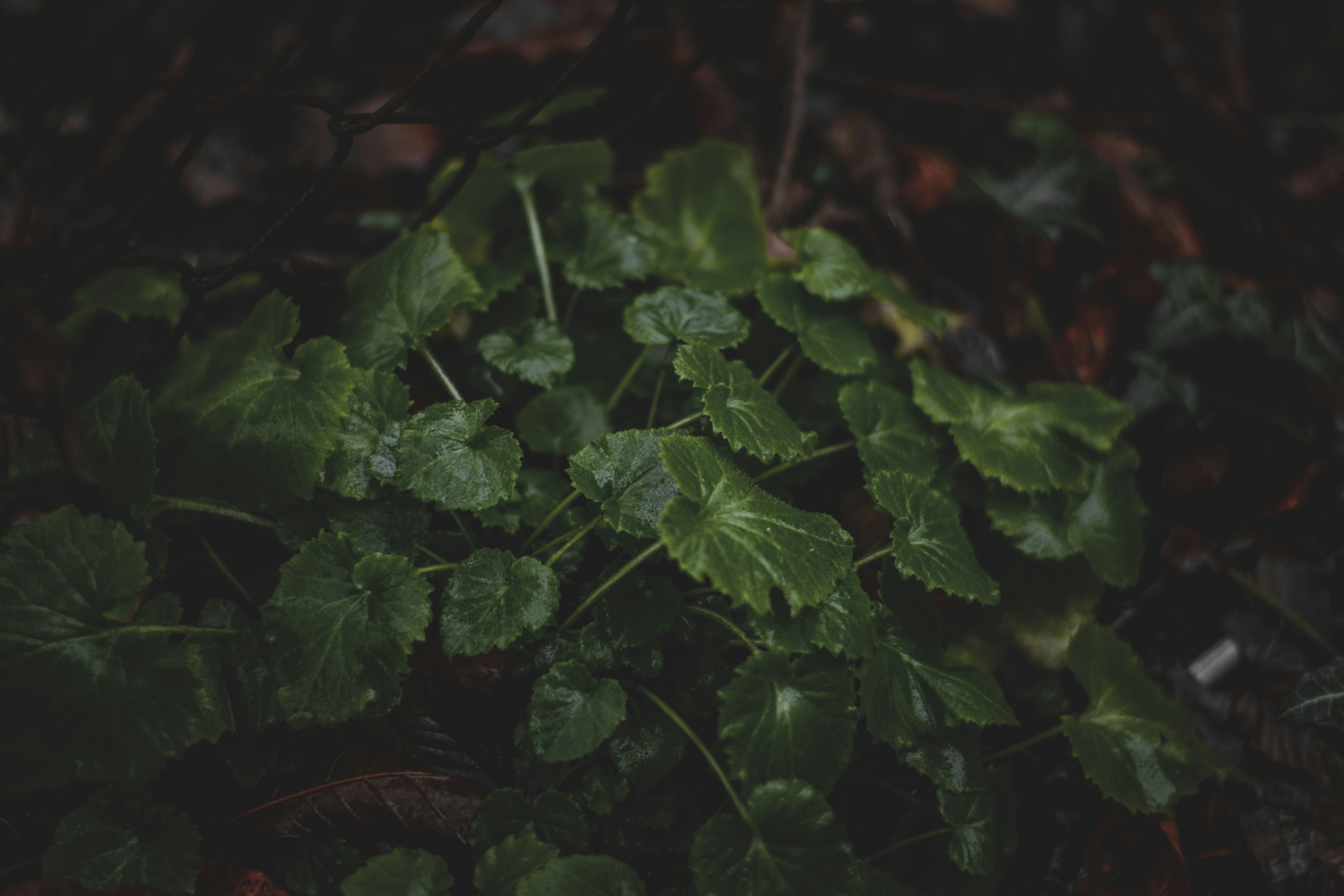 Photo by elliottmason