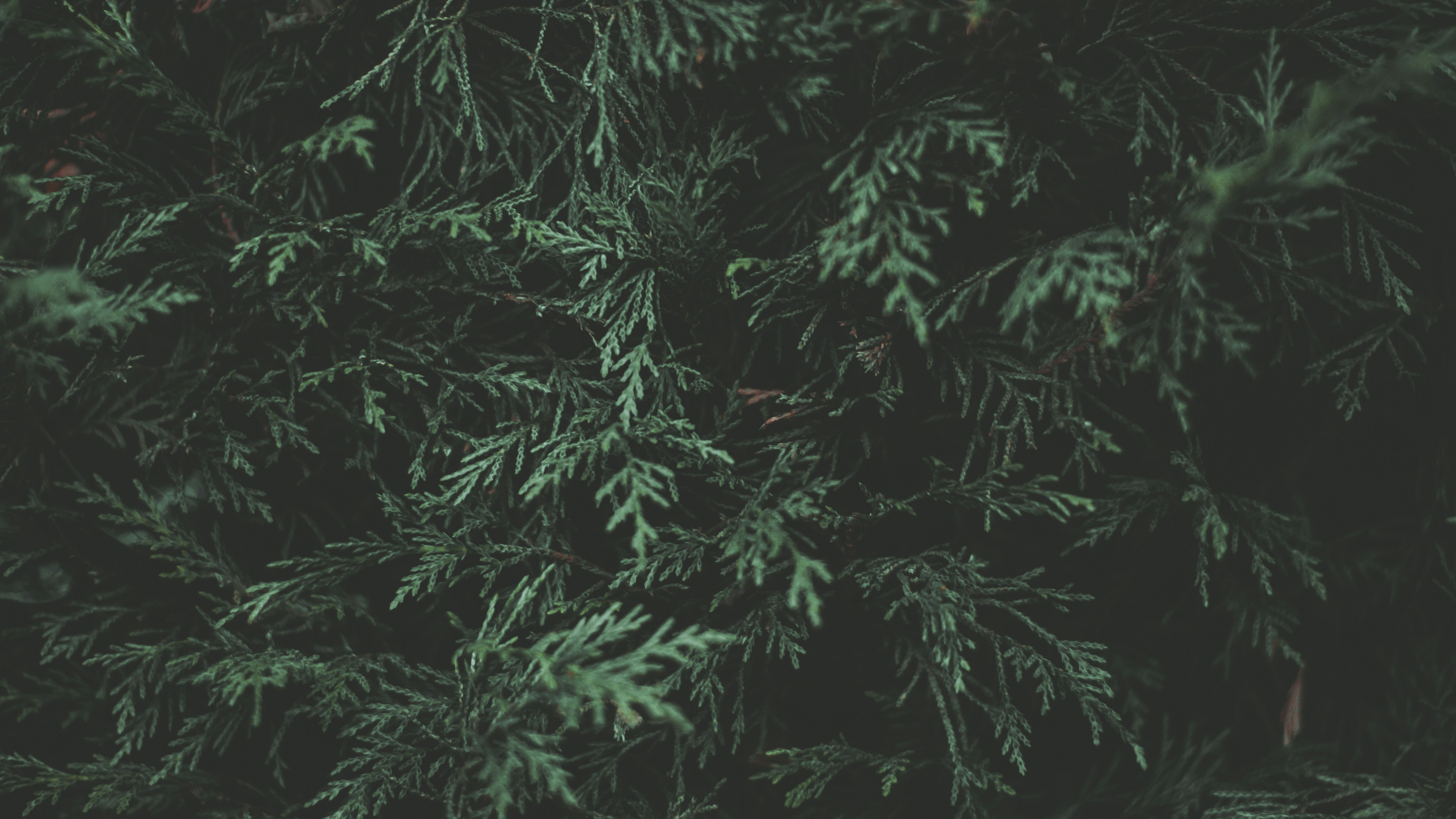 Photo by elliottmason