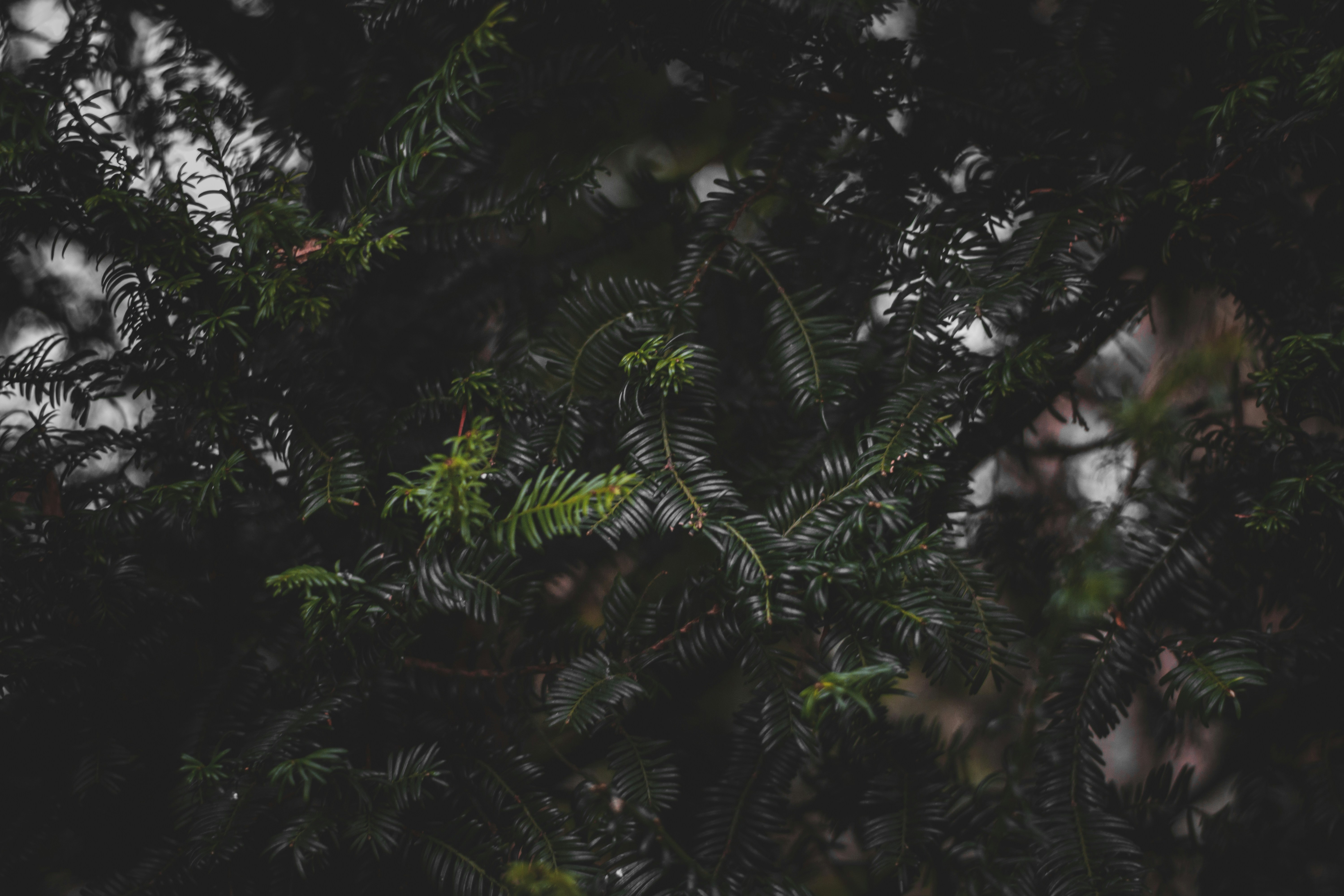 Photo by elliottmason