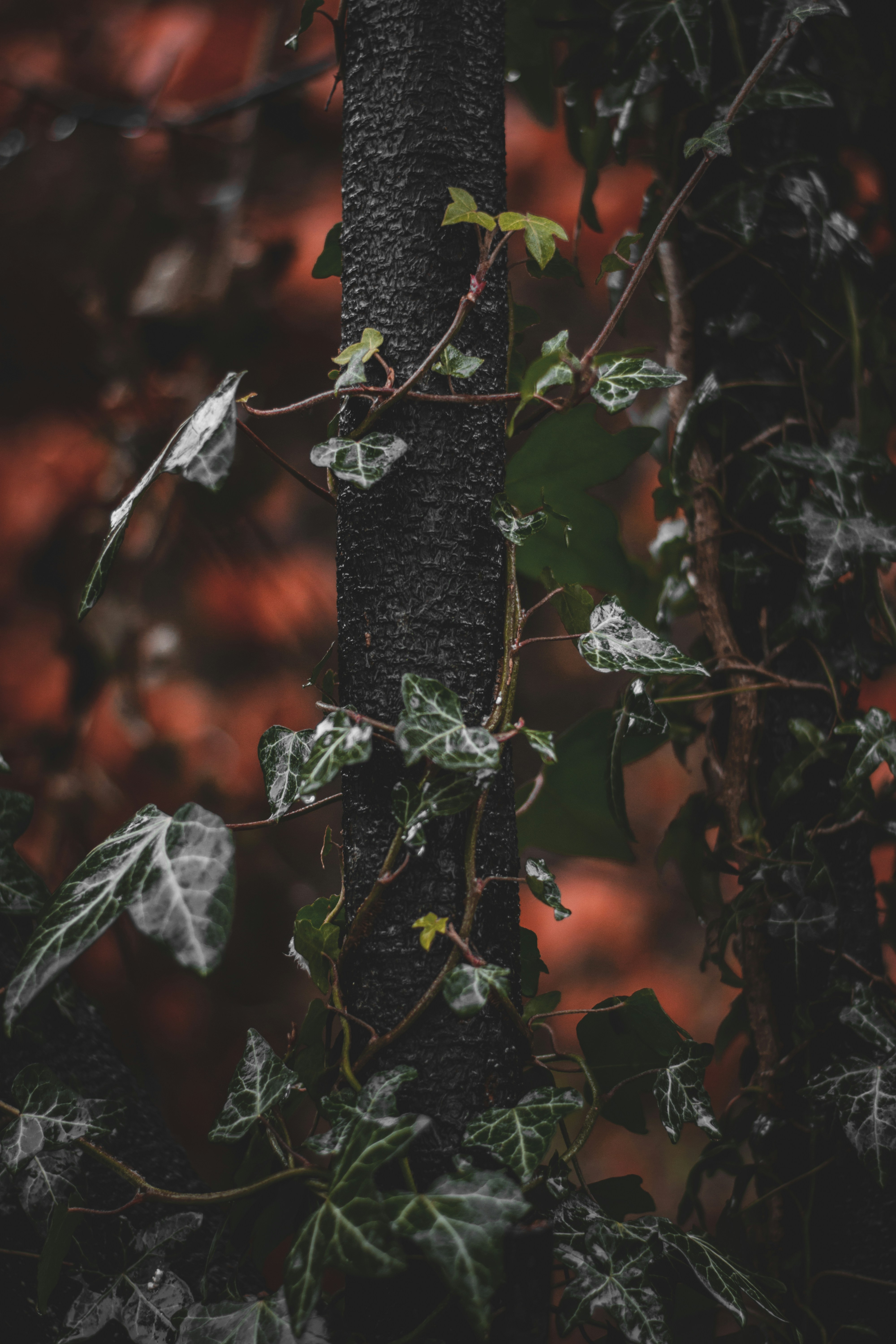 Photo by elliottmason