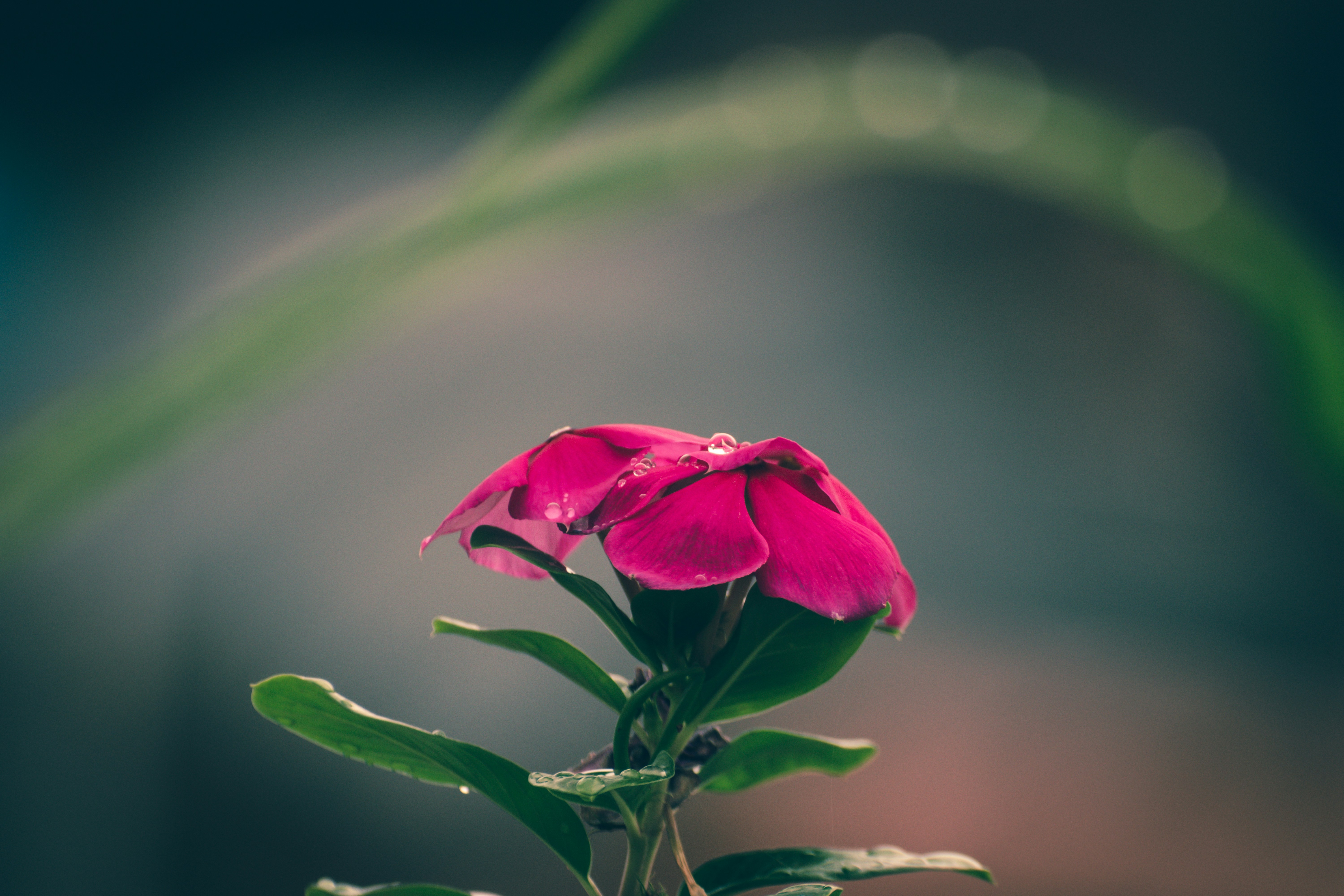 Photo by navi_photography