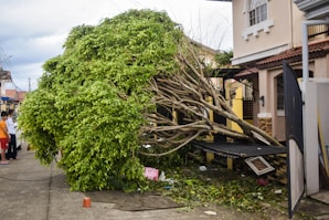 a tree that has fallen on a house