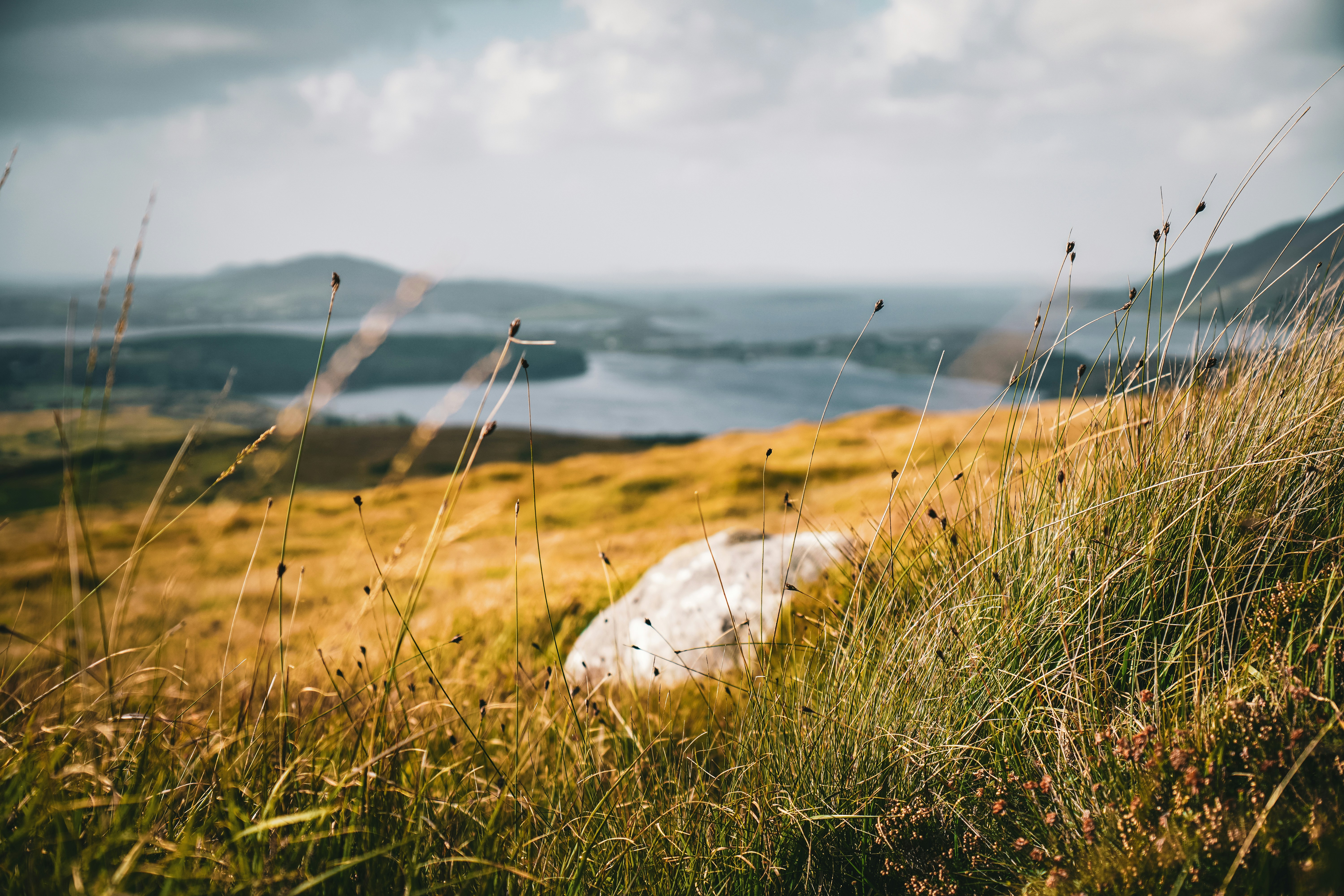 a grassy hill with a rock in the foreground, 