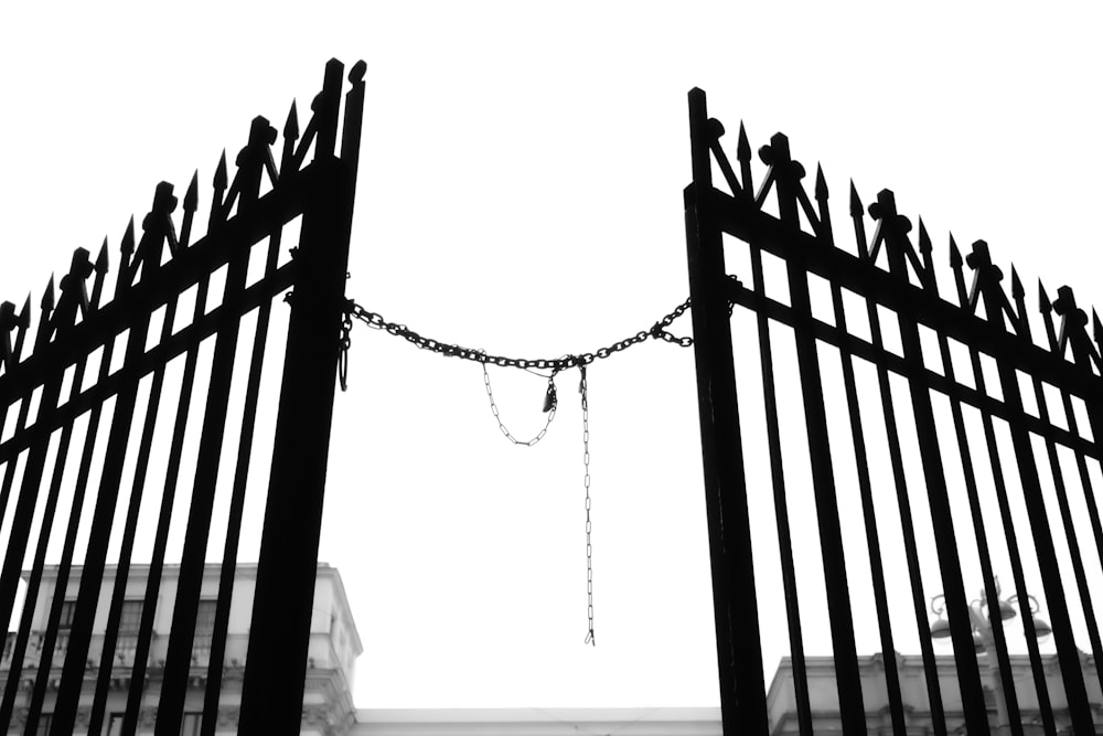 a black and white photo of a fence with birds on it