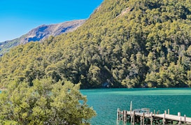 A serene landscape featuring a turquoise lake bordered by lush green forested hills under a clear blue sky. A wooden dock extends into the lake from the right side, suggesting a tranquil setting for relaxation or contemplation.