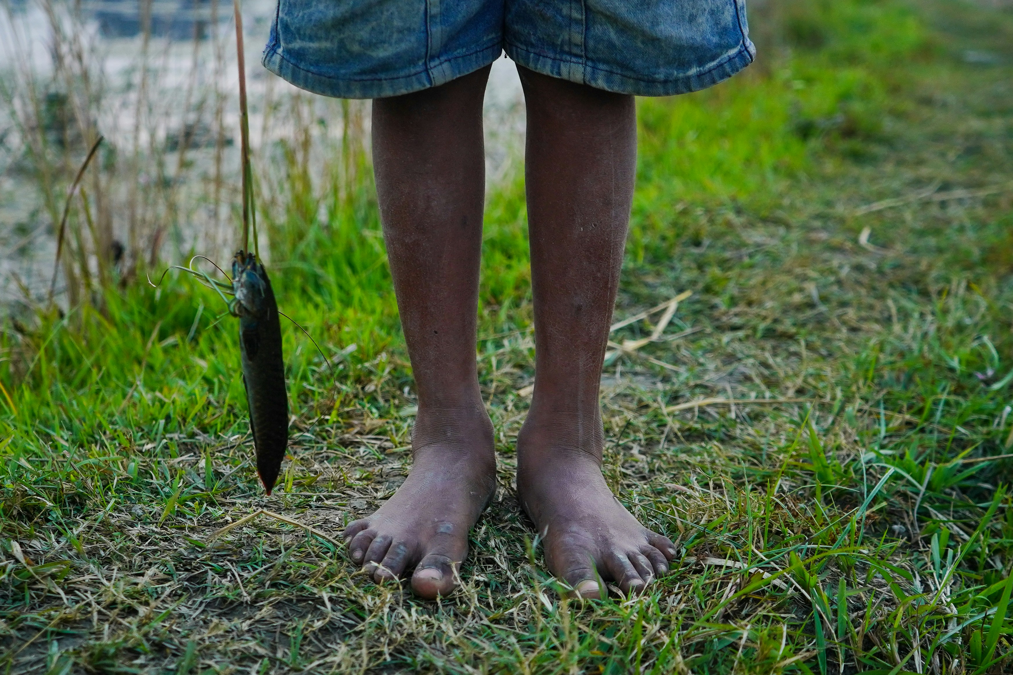 a person standing in the grass holding a fish