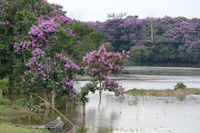 Top Tourist Places in Jorhat: What's Actually Worth Your Time
