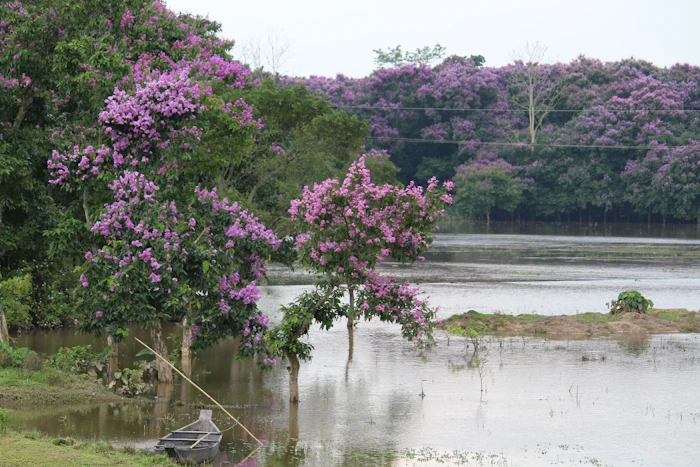 Top Tourist Places