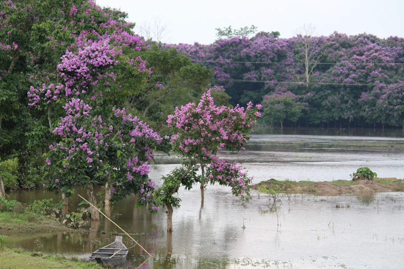 Top Tourist Places in Jorhat: What's Actually Worth Your Time