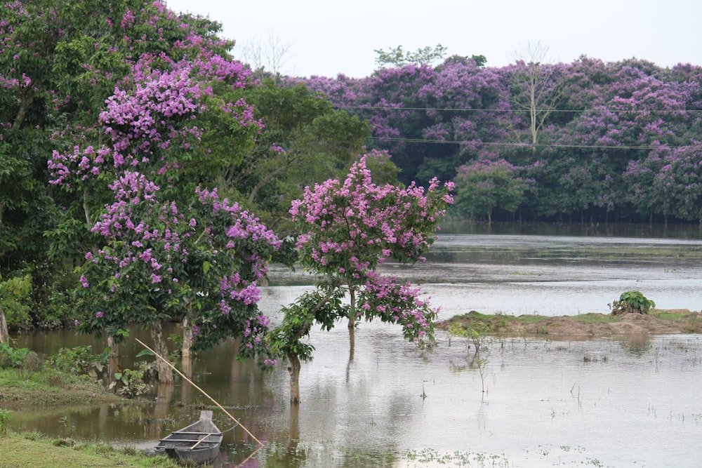 a boat sitting in the middle of a flooded area