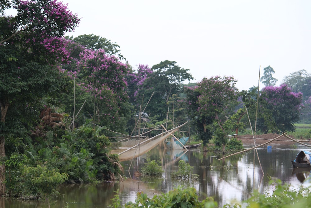 a boat floating on top of a river next to a lush green forest