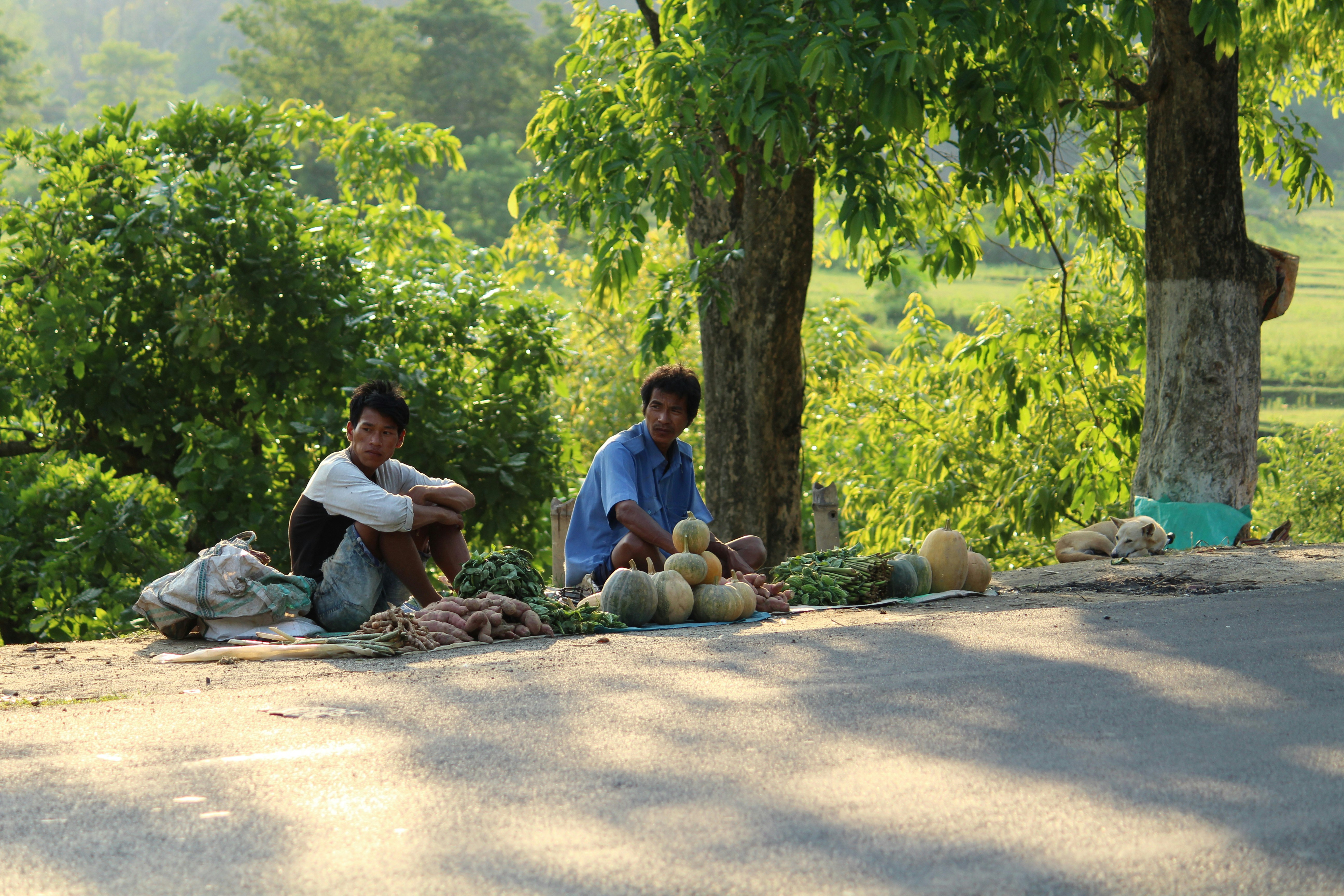 Photo by mahabahu