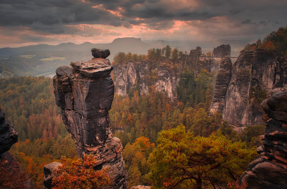 a rock formation in the middle of a forest