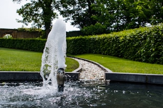 a fire hydrant spewing water in a garden
