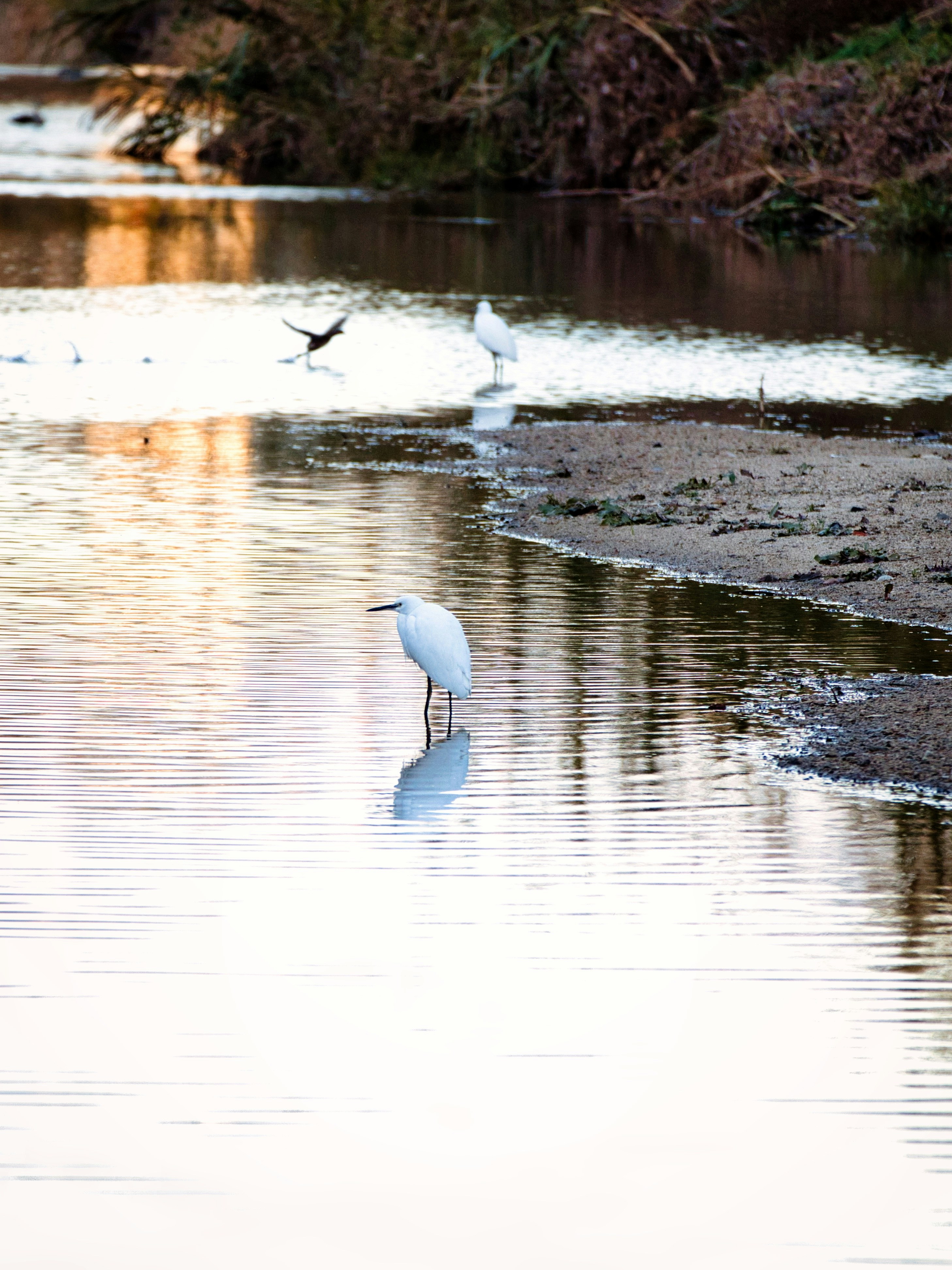 Photo by murakami1991