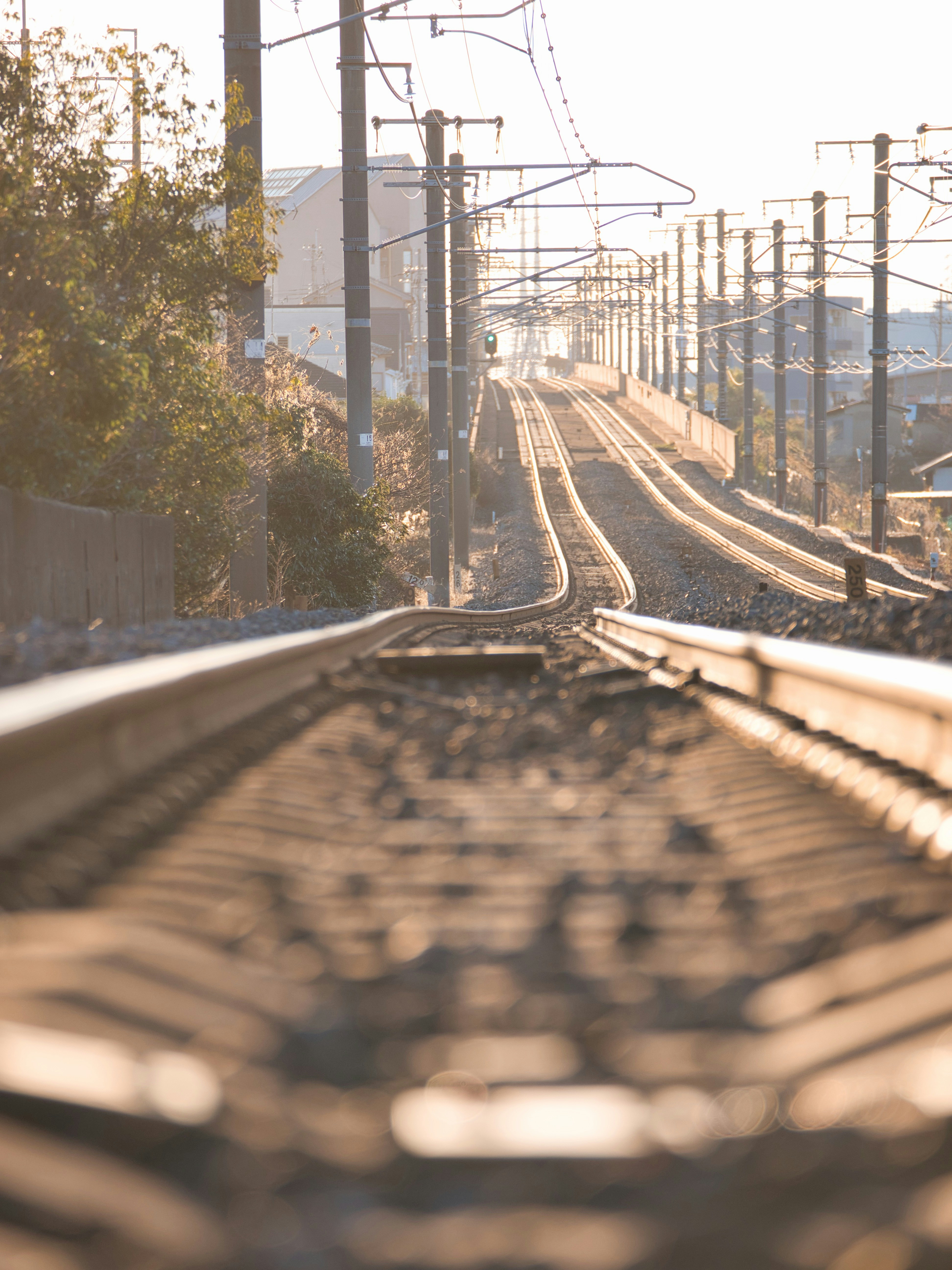 Photo by murakami1991