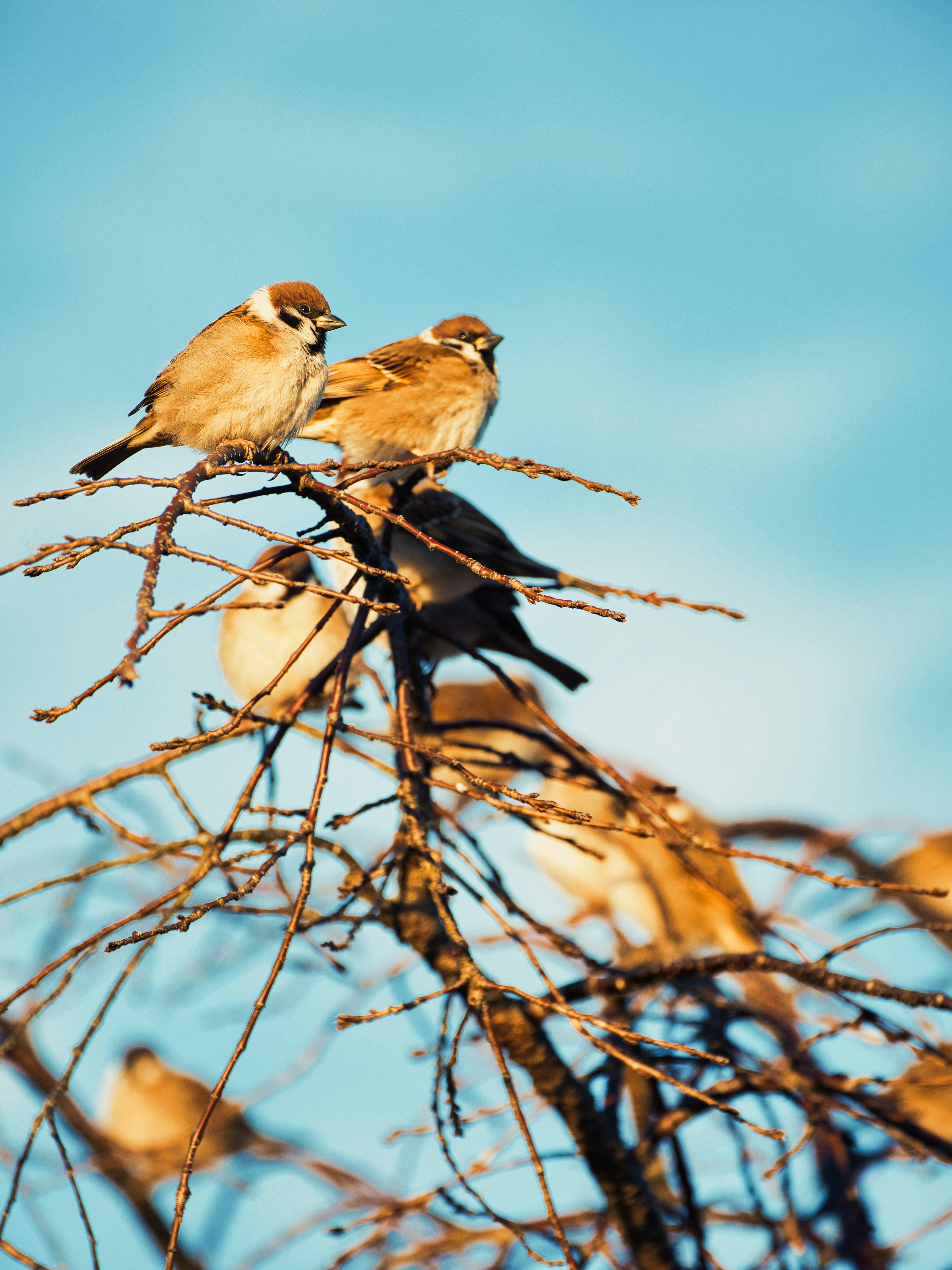 Photo by murakami1991