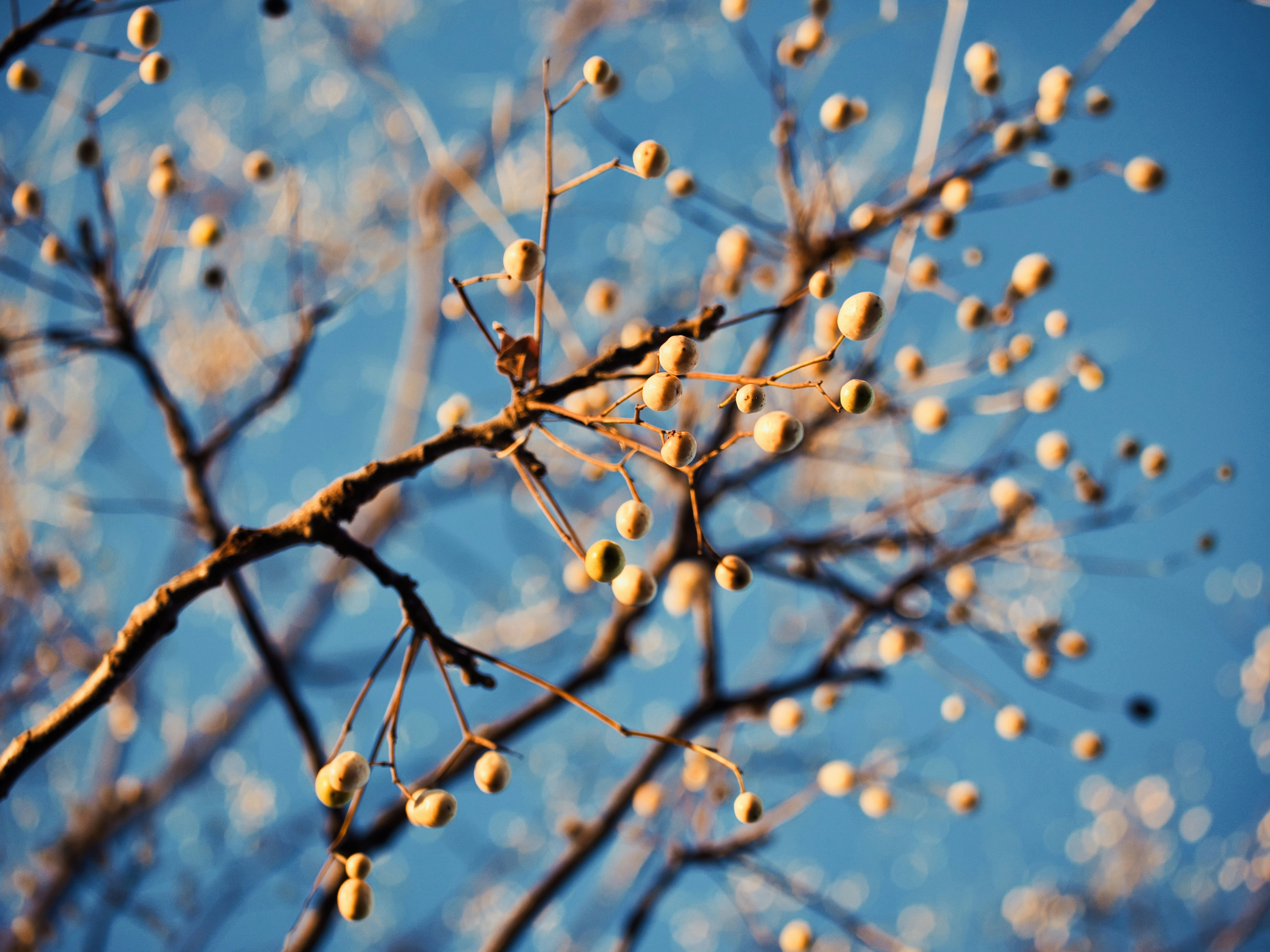 Photo by murakami1991