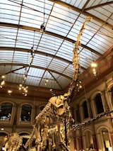 Visitors holding real fossils under gentle museum lighting, eyes wide with wonder.
