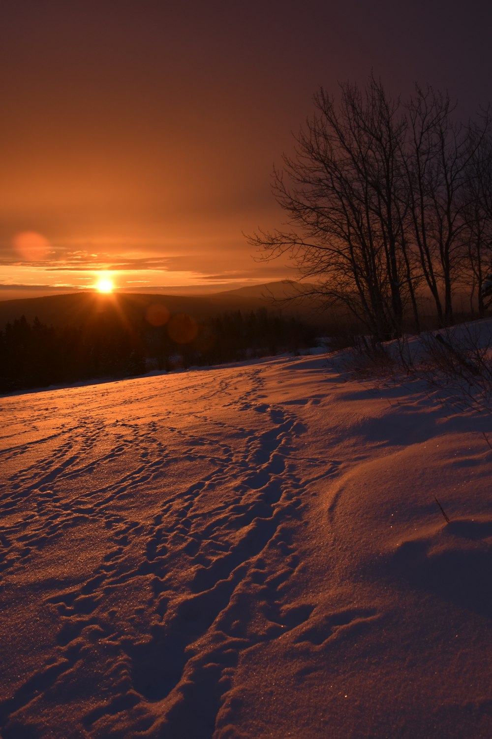 the sun is setting over a snowy field