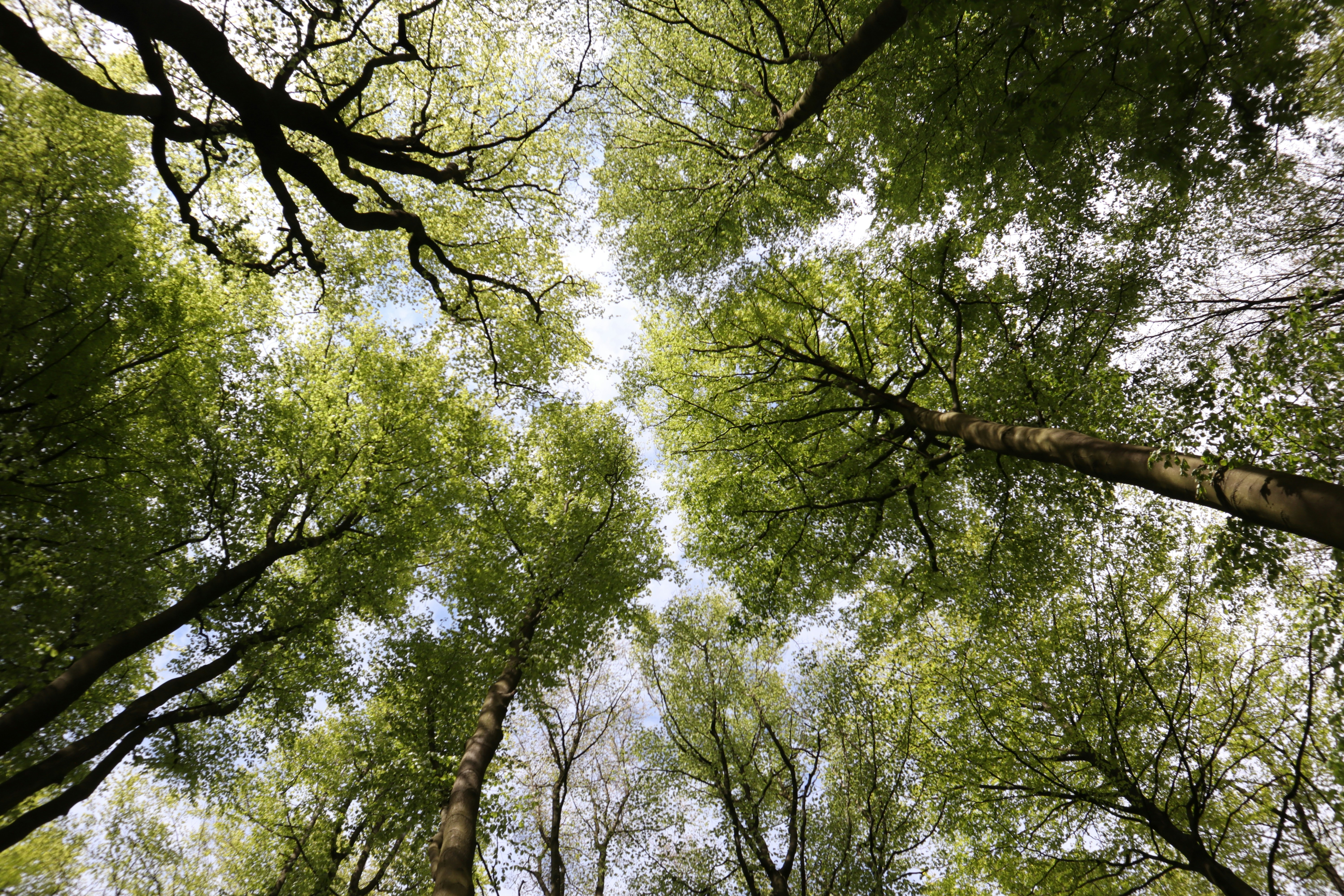 Photo by random_selection