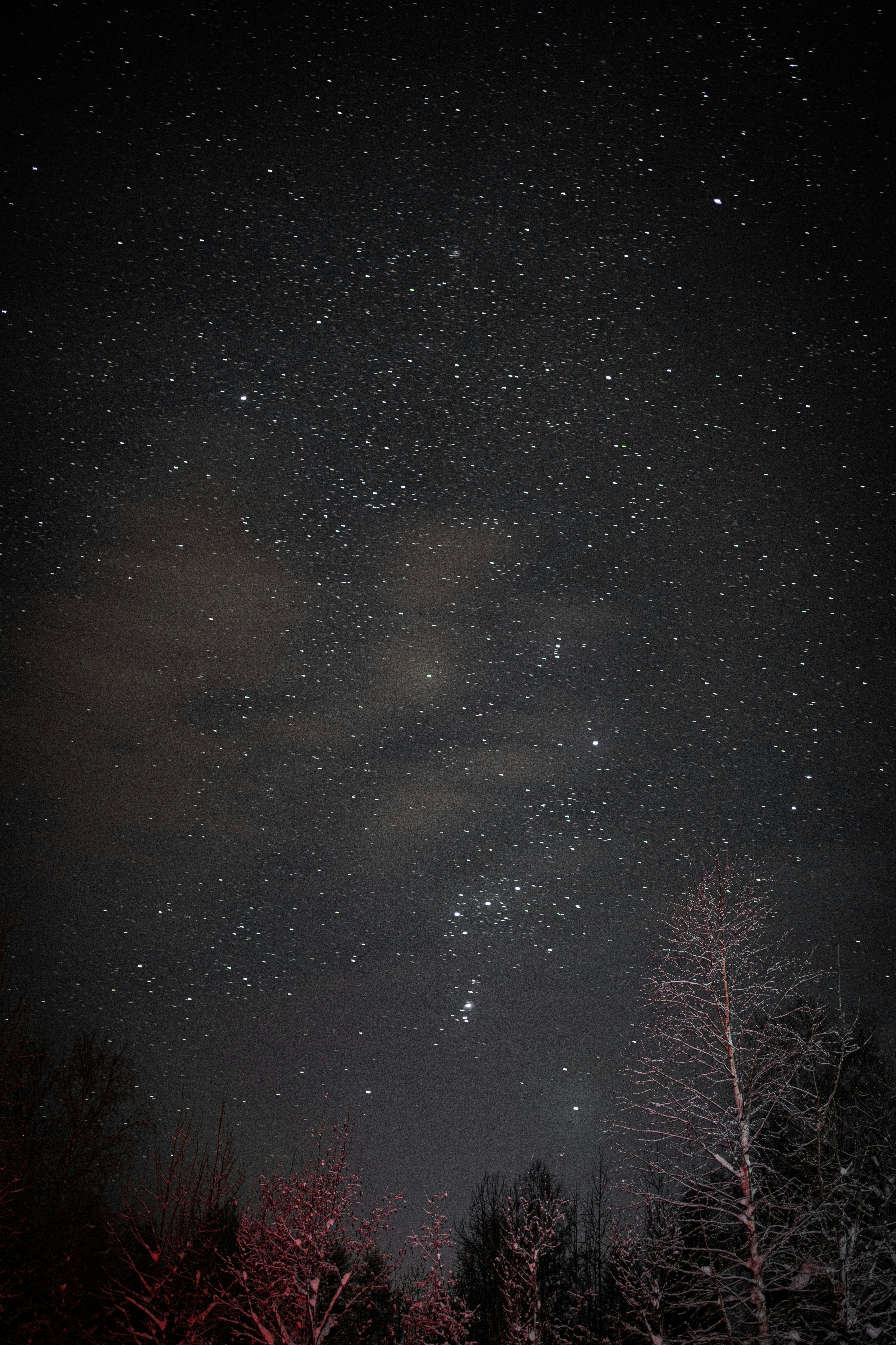 Photo by shklyaevmax