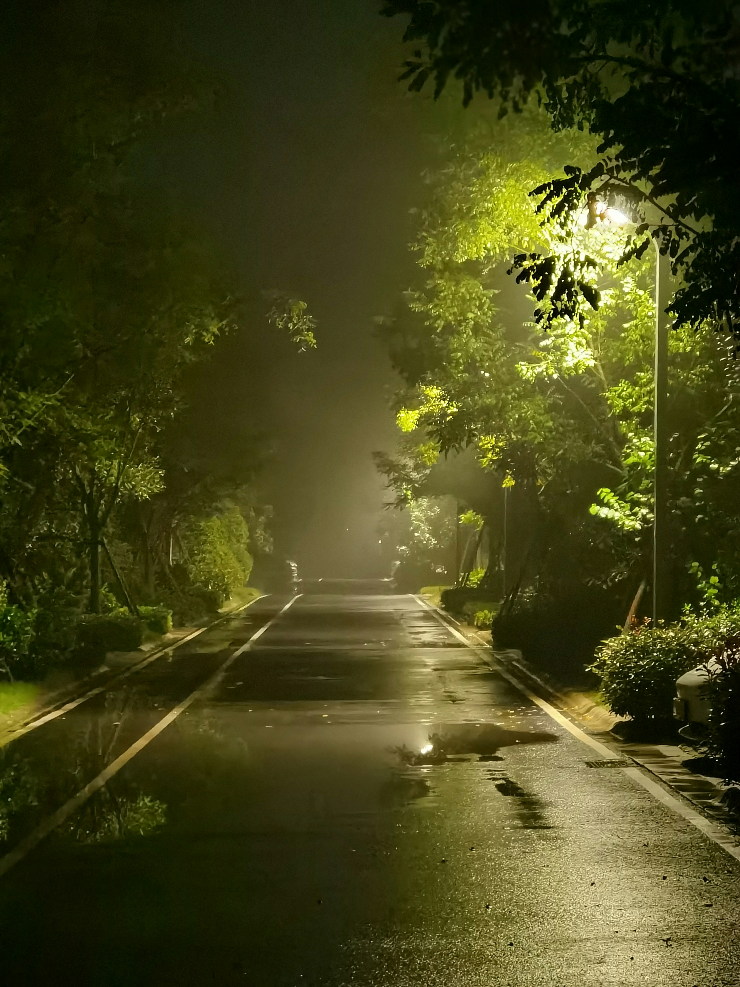 A street at night with a light shining on it photo – Free ...